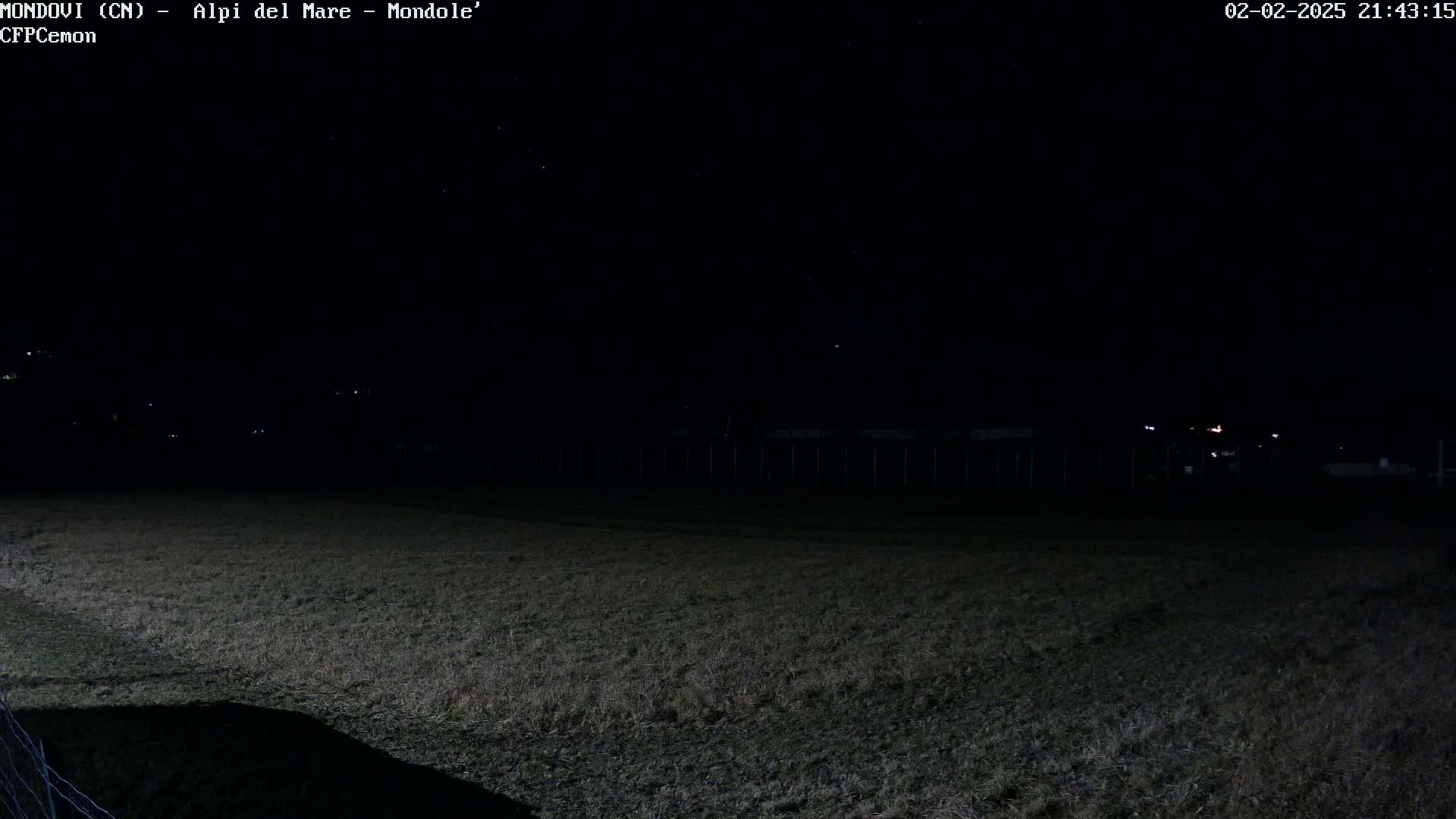 A dark, grassy field is visible under a clear night sky with a few distant lights.