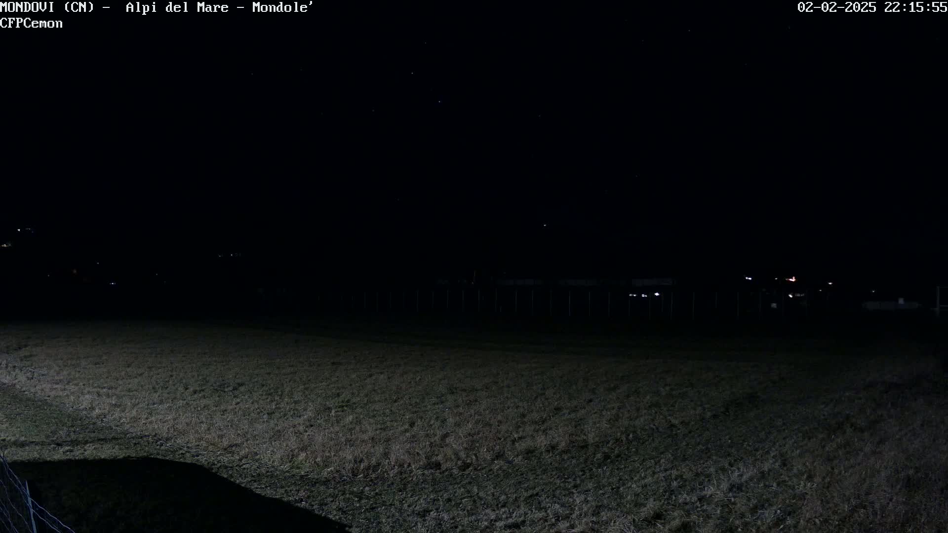 A dark field is visible under a clear night sky, with a few distant lights in the background.