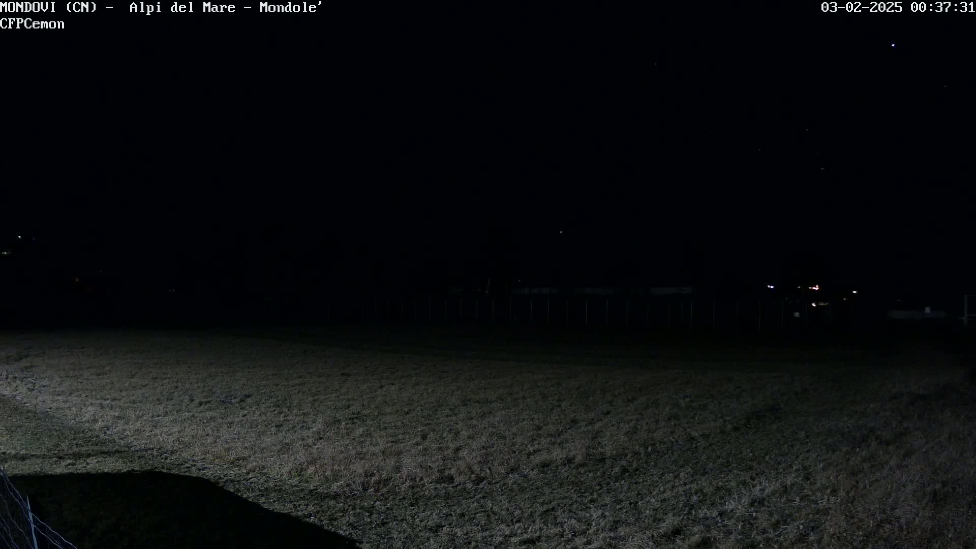 A dark, nighttime field is visible under a clear sky with a few stars.