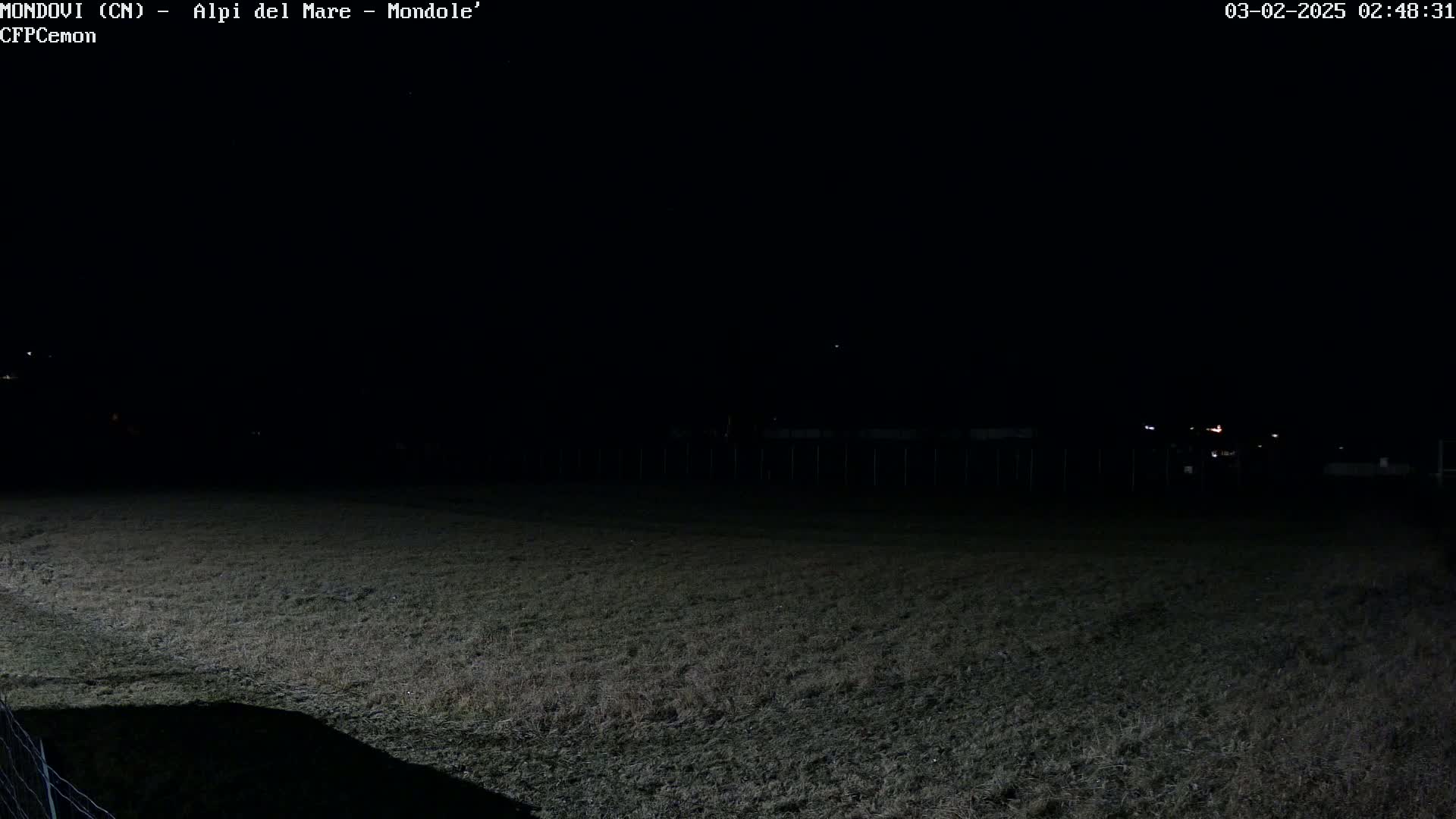 A dark, nighttime field is visible, with a fence and a few distant lights in the background.