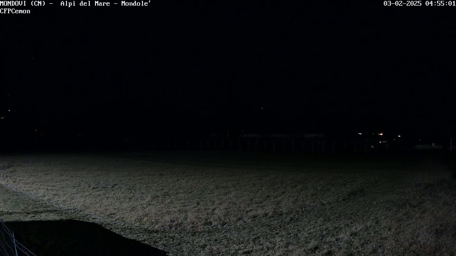 A dark, grassy field is visible at night under a clear, starlit sky, with a few faint lights in the distance.