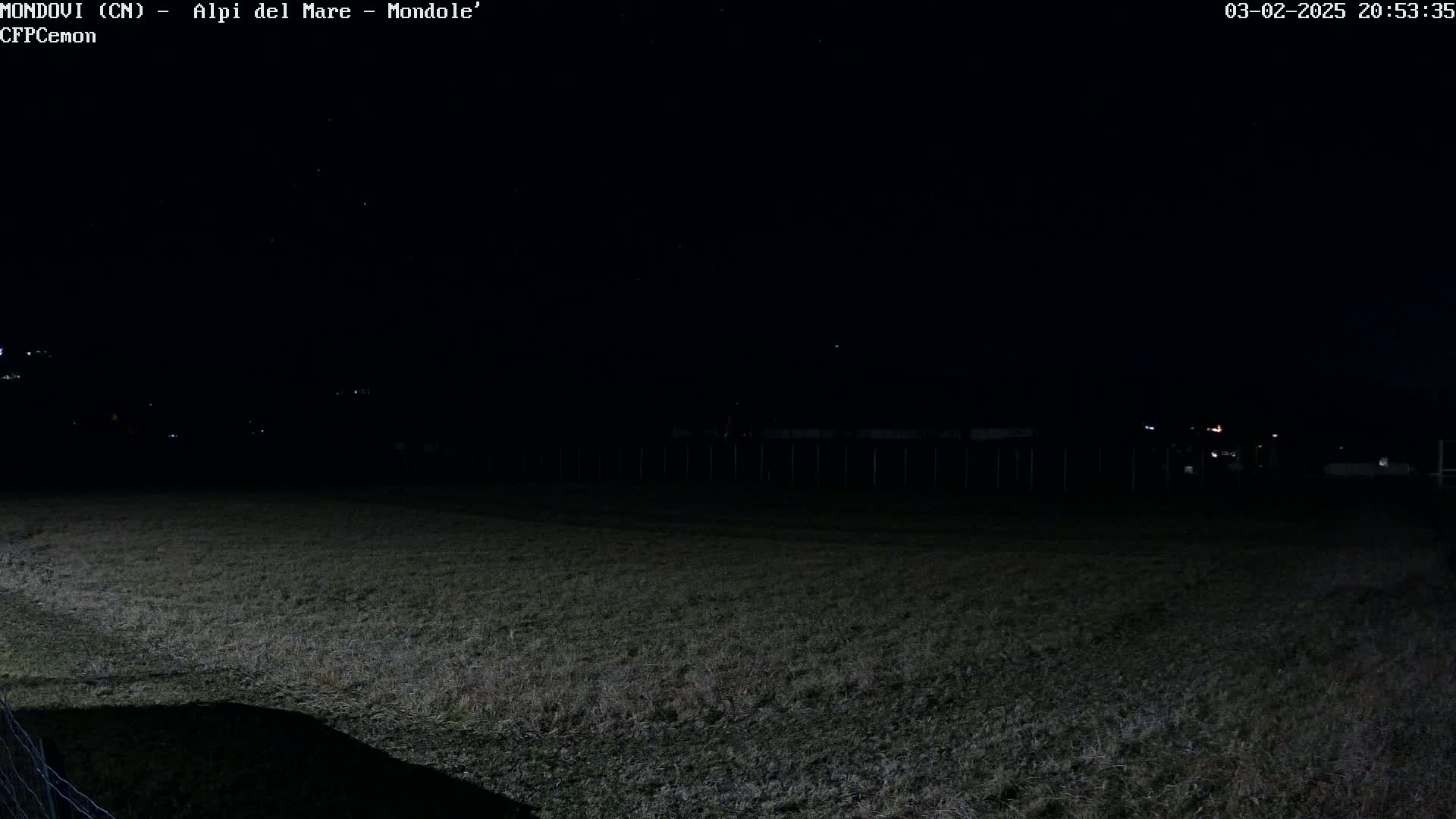 A dark, nighttime field is shown, with a distant fence and a few faint lights visible in the background under a clear, starlit sky.