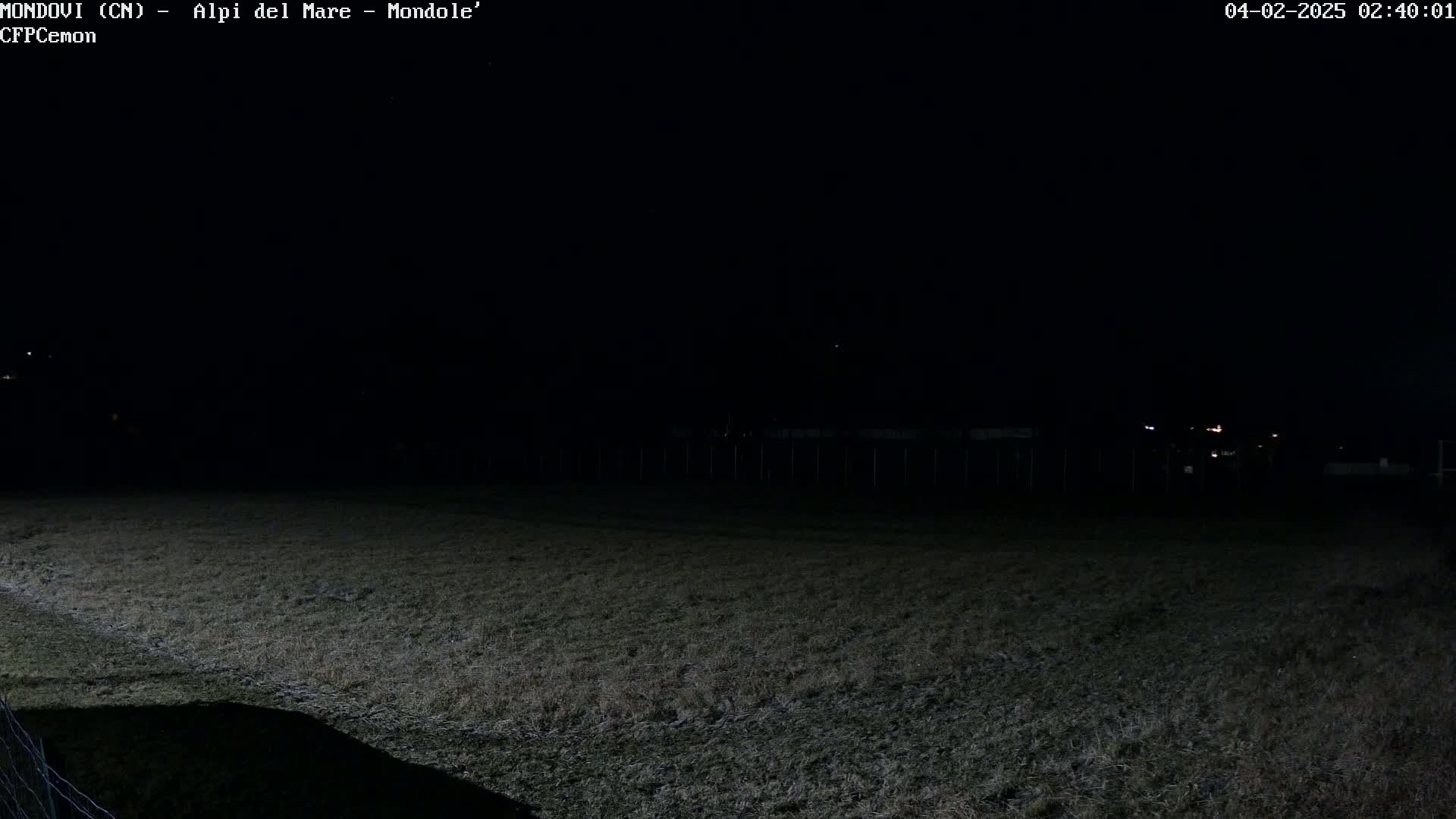 A dark, nighttime view of a grassy field under a clear sky, with a faint glow of lights in the distance.