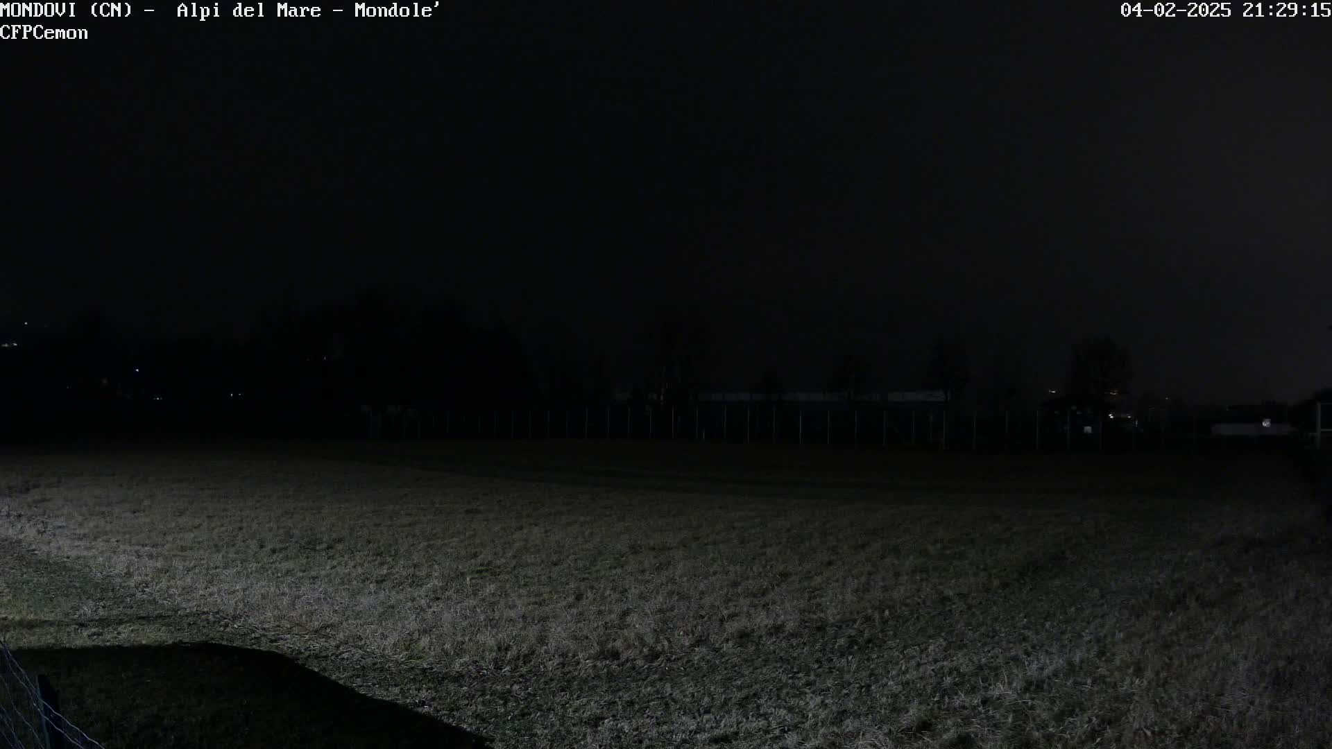 A dark, nighttime view of a grassy field enclosed by a fence, with a few distant lights visible in the background under a clear, dark sky.