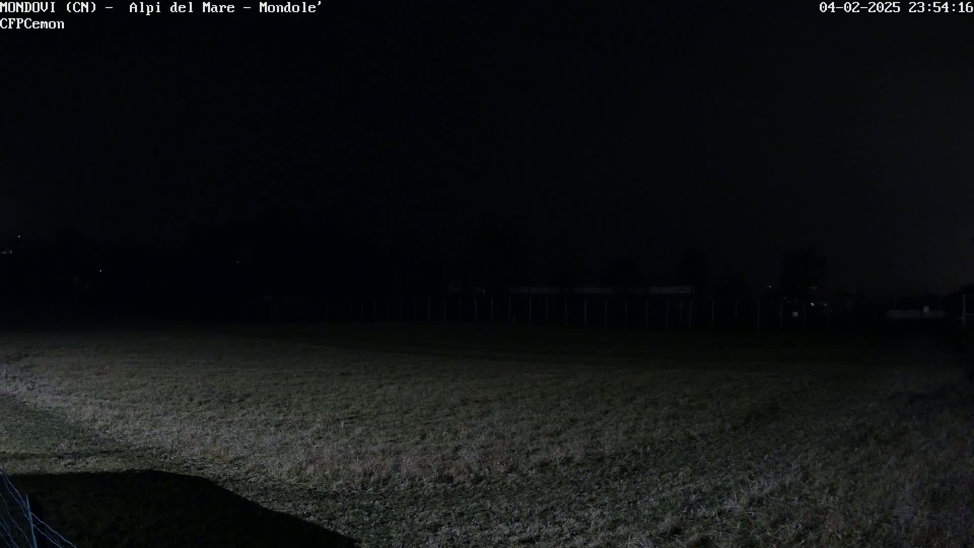 A dark, nighttime view shows a grassy field with a fence in the background under a clear, black sky.