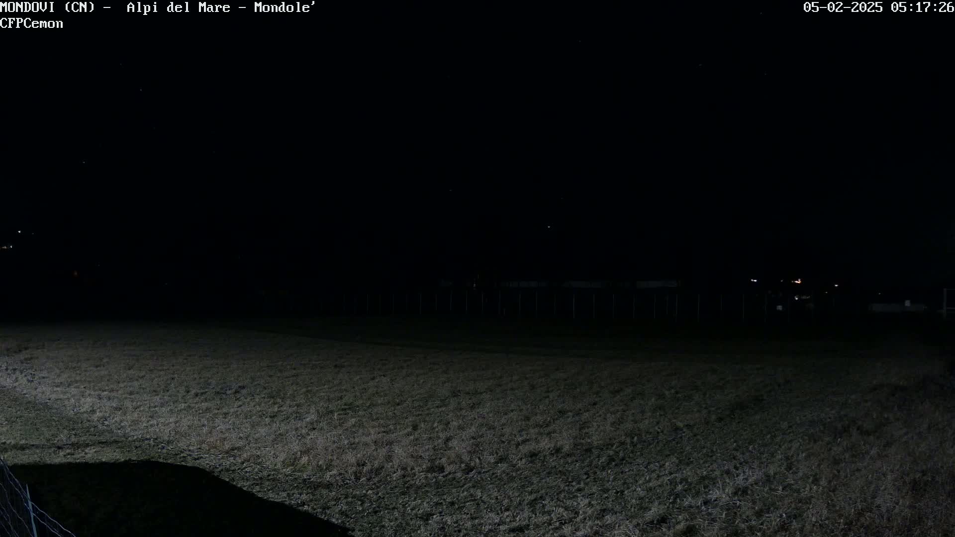 A dark, nighttime view of a grassy field under a clear sky, with a few distant lights visible in the background.