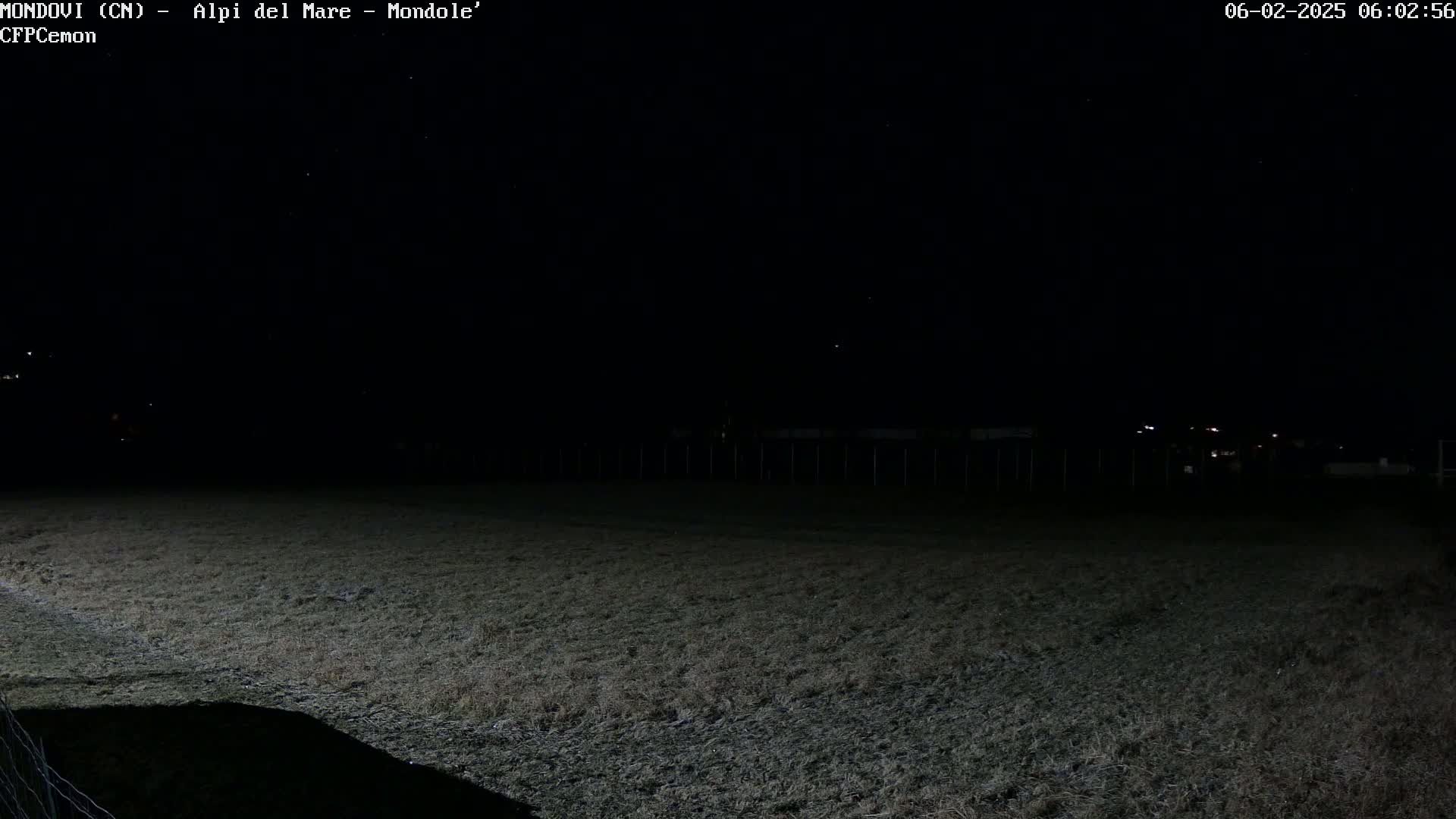A dark, nighttime view of a grassy field under a starlit sky.