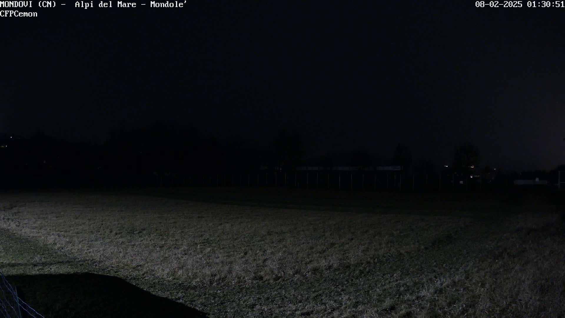 A dark, grassy field is visible at night under a clear, black sky.