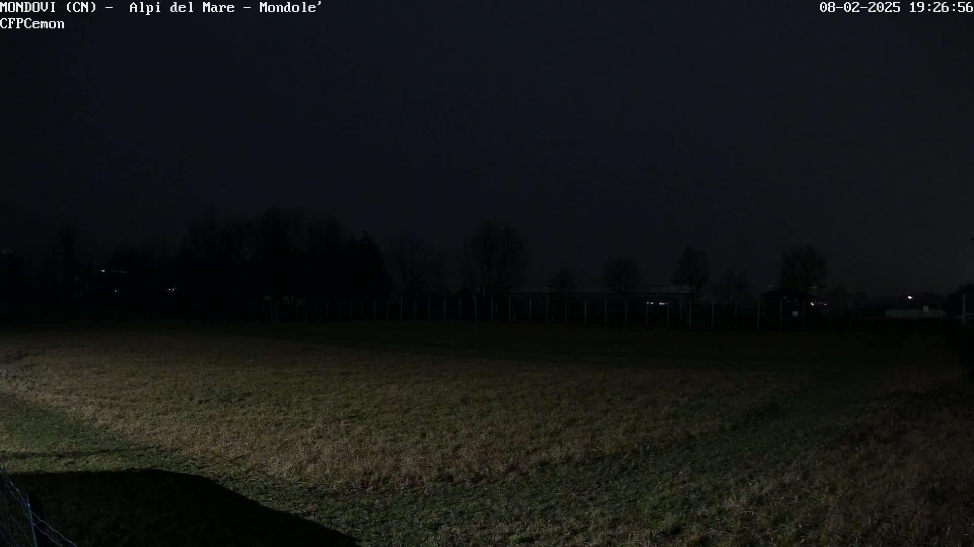 A dark, nighttime view of a grassy field with a fence and a line of trees in the background under a mostly clear sky.