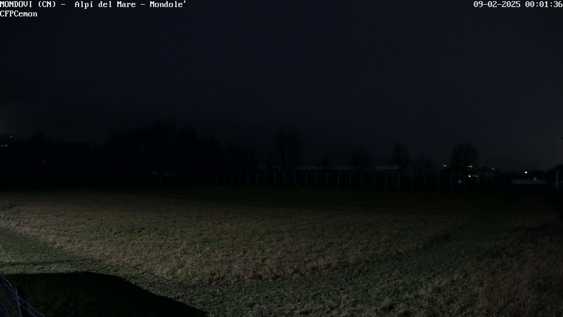 A dark, nighttime view of a grassy field enclosed by a fence, with a dark treeline in the background under a clear, dark sky.