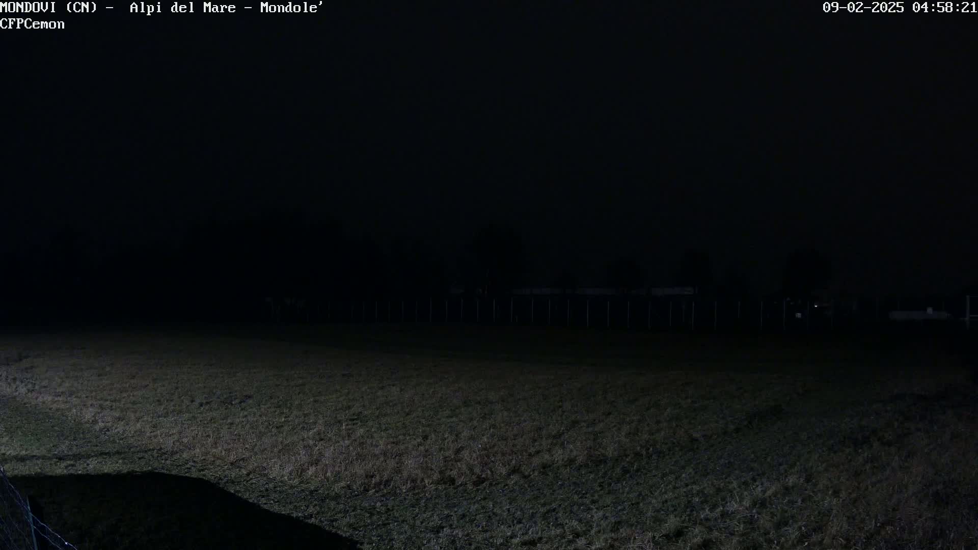 A dark, nighttime field is visible, with a fence and a few indistinct structures in the background.