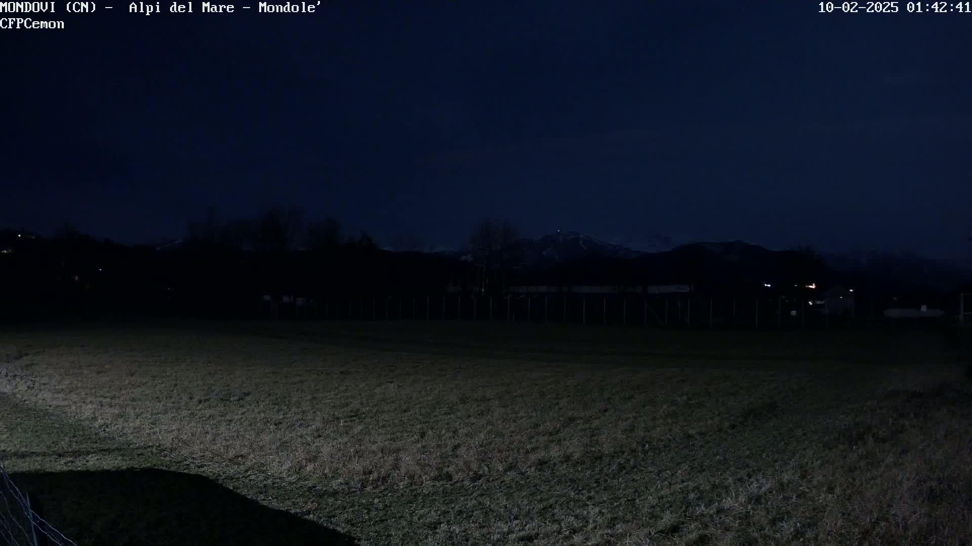 A dark, nighttime view of a grassy field with a distant, snow-covered mountain range under a clear, dark sky.