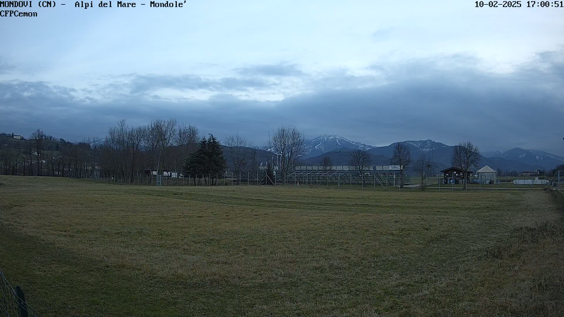 A grassy field stretches towards snow-capped mountains under a cloudy, overcast sky.