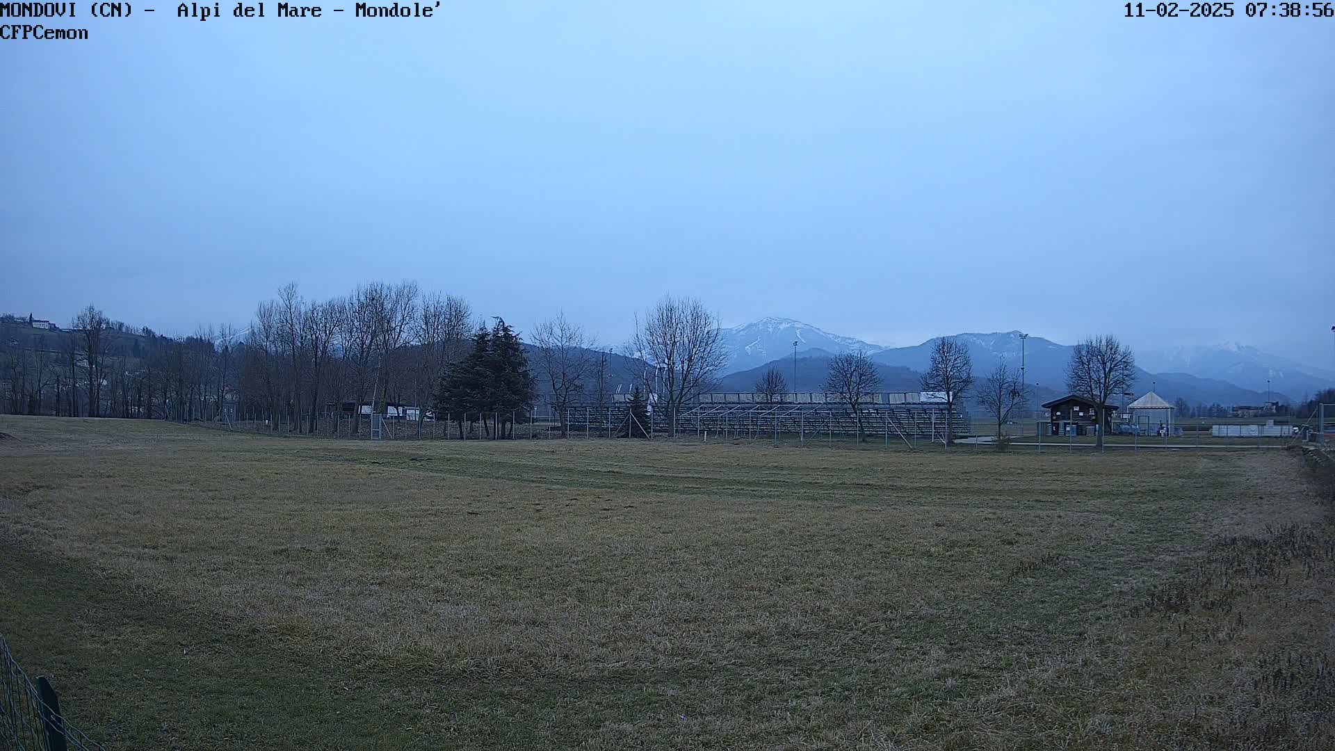 A mostly barren field sits before a line of leafless trees and a snow-capped mountain range under a pale blue, overcast sky.