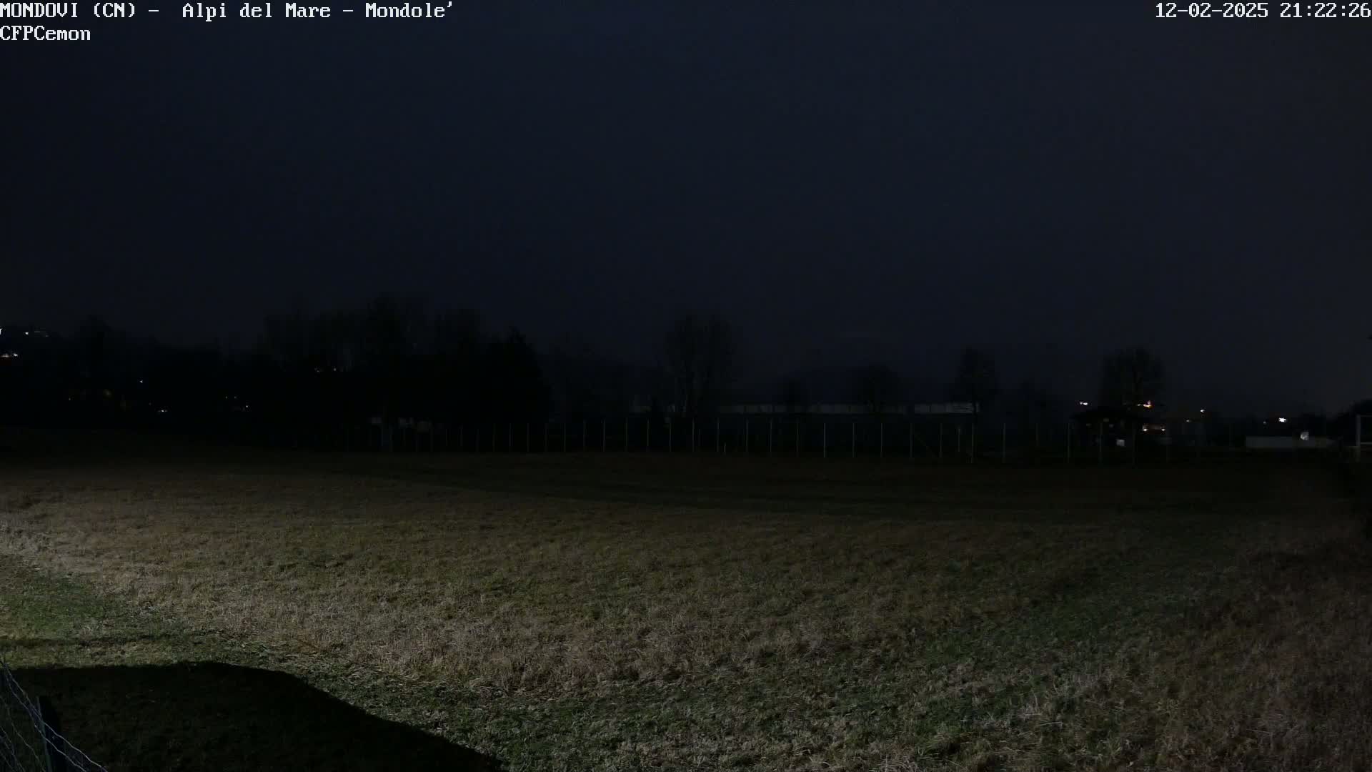 A dark, nighttime scene shows a grassy field, a fence, and a few distant trees under a mostly clear, dark sky.