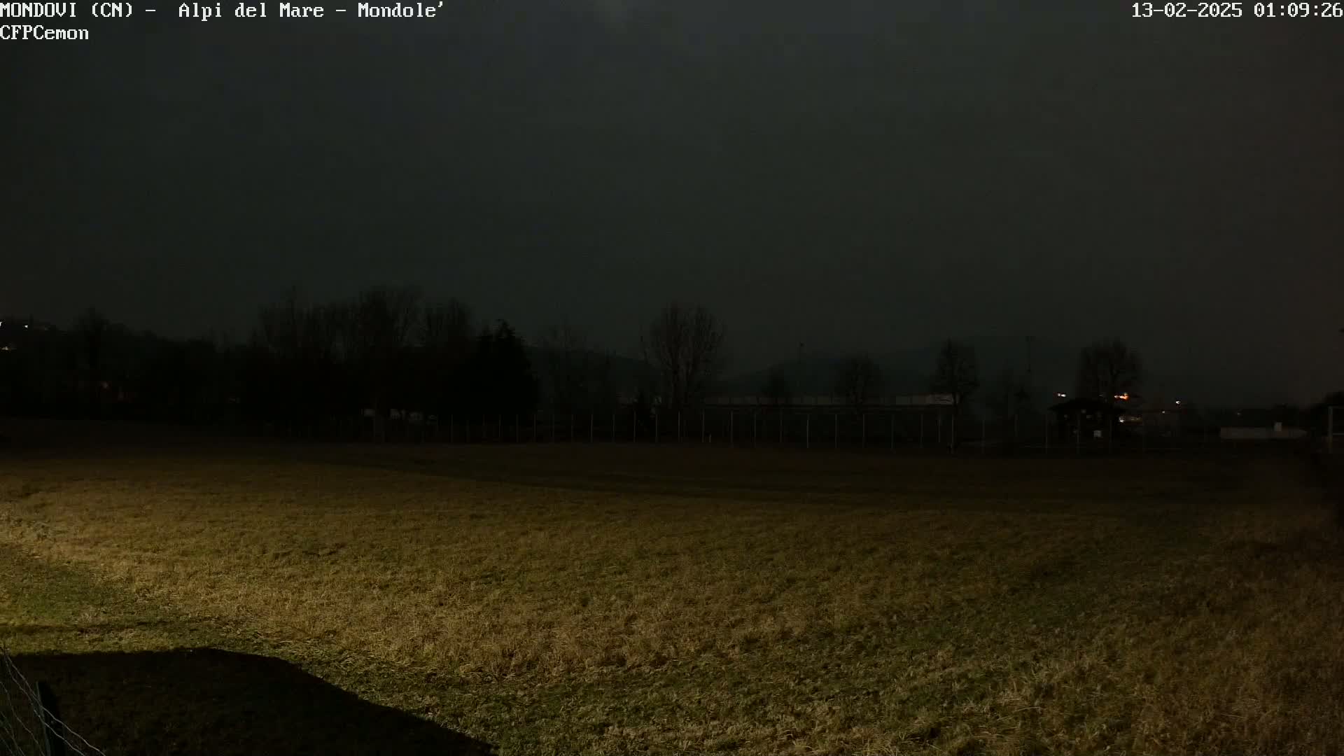 A dark, nighttime scene shows a field of dry grass extending to a line of trees and a fence under a hazy, dark sky.