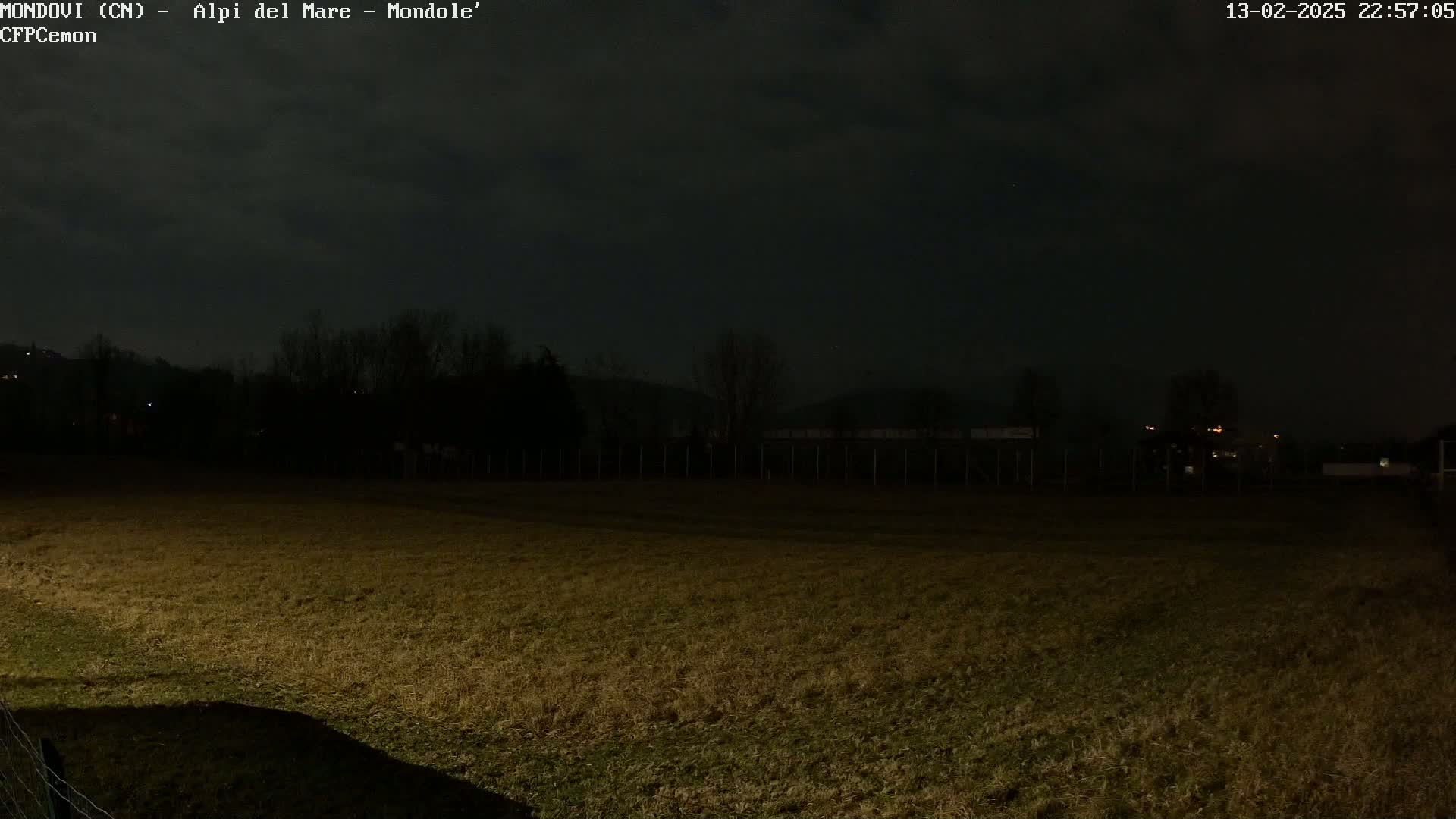 A dark, nighttime view of a grassy field, bordered by a fence and trees under a cloudy sky.