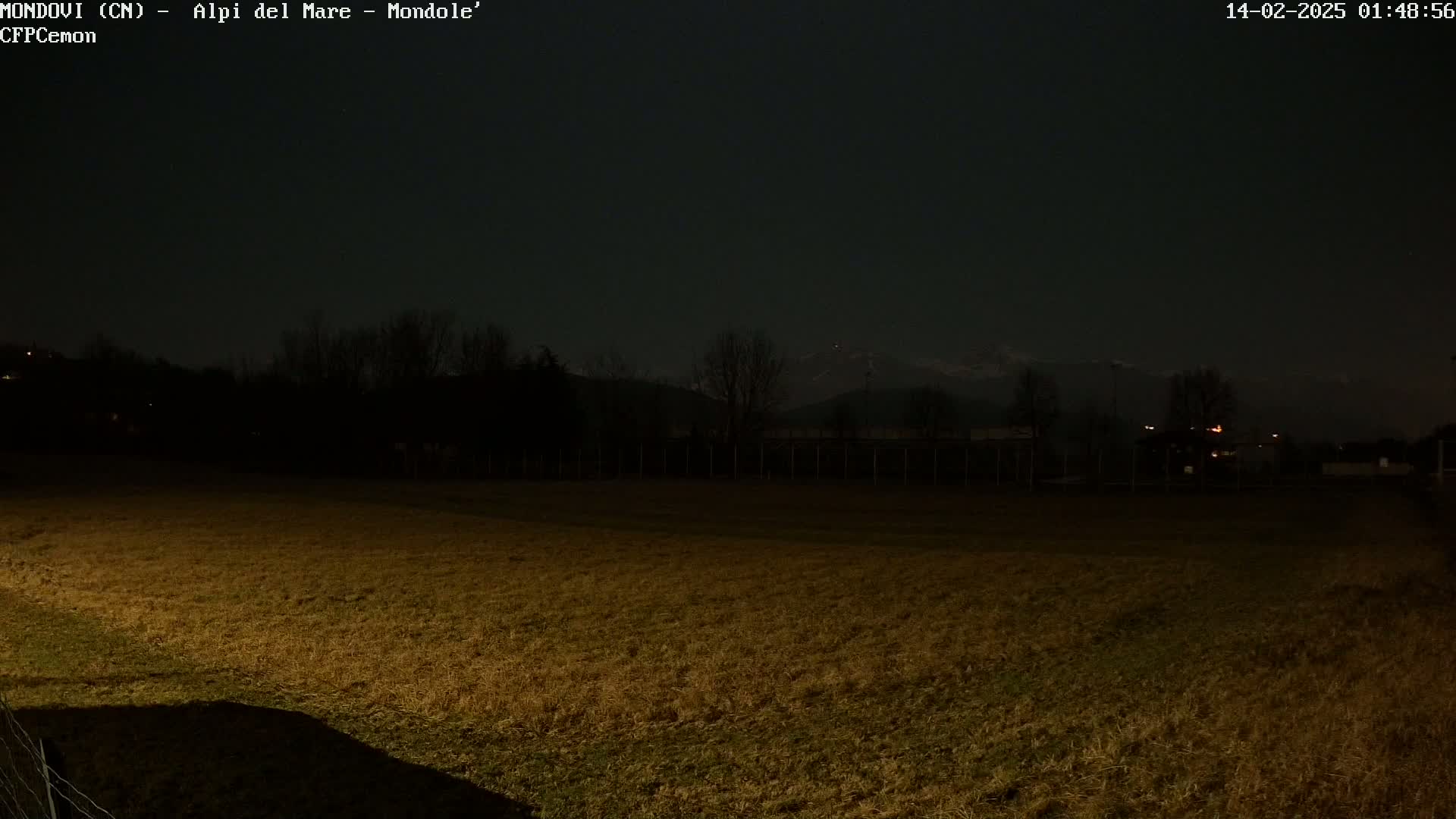 A nighttime view of a field, illuminated by a light source, with dark trees and snow-capped mountains in the background under a dark sky.