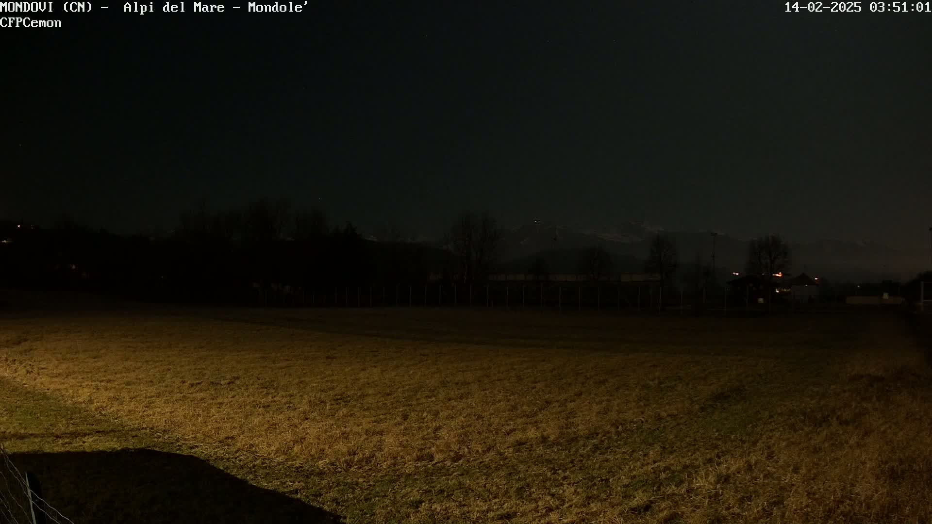 A dark, nighttime view of a field, sparsely lit, with a distant, dimly lit treeline and mountains under a clear, starlit sky.