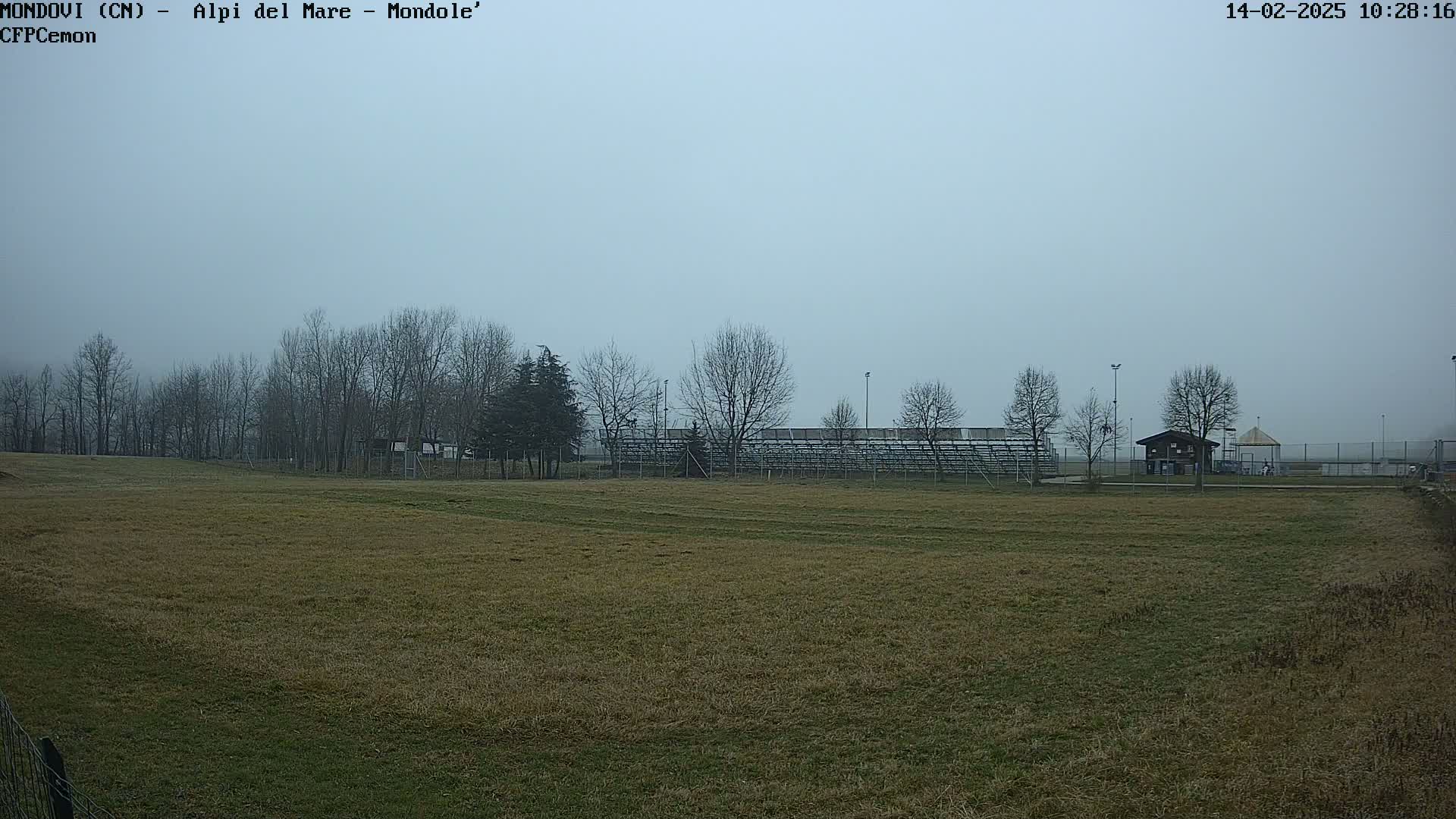A grassy field with a line of leafless trees and bleachers in the background under an overcast sky.