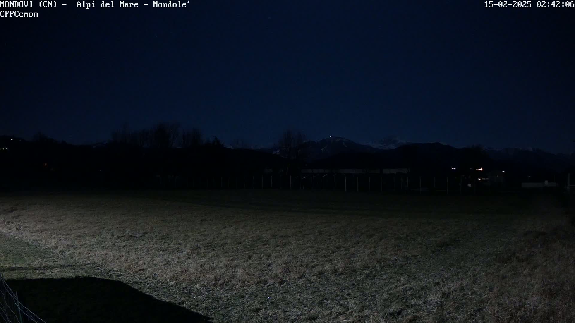 A dark, nighttime view of a grassy field, with silhouetted trees and distant mountains under a clear, dark sky.