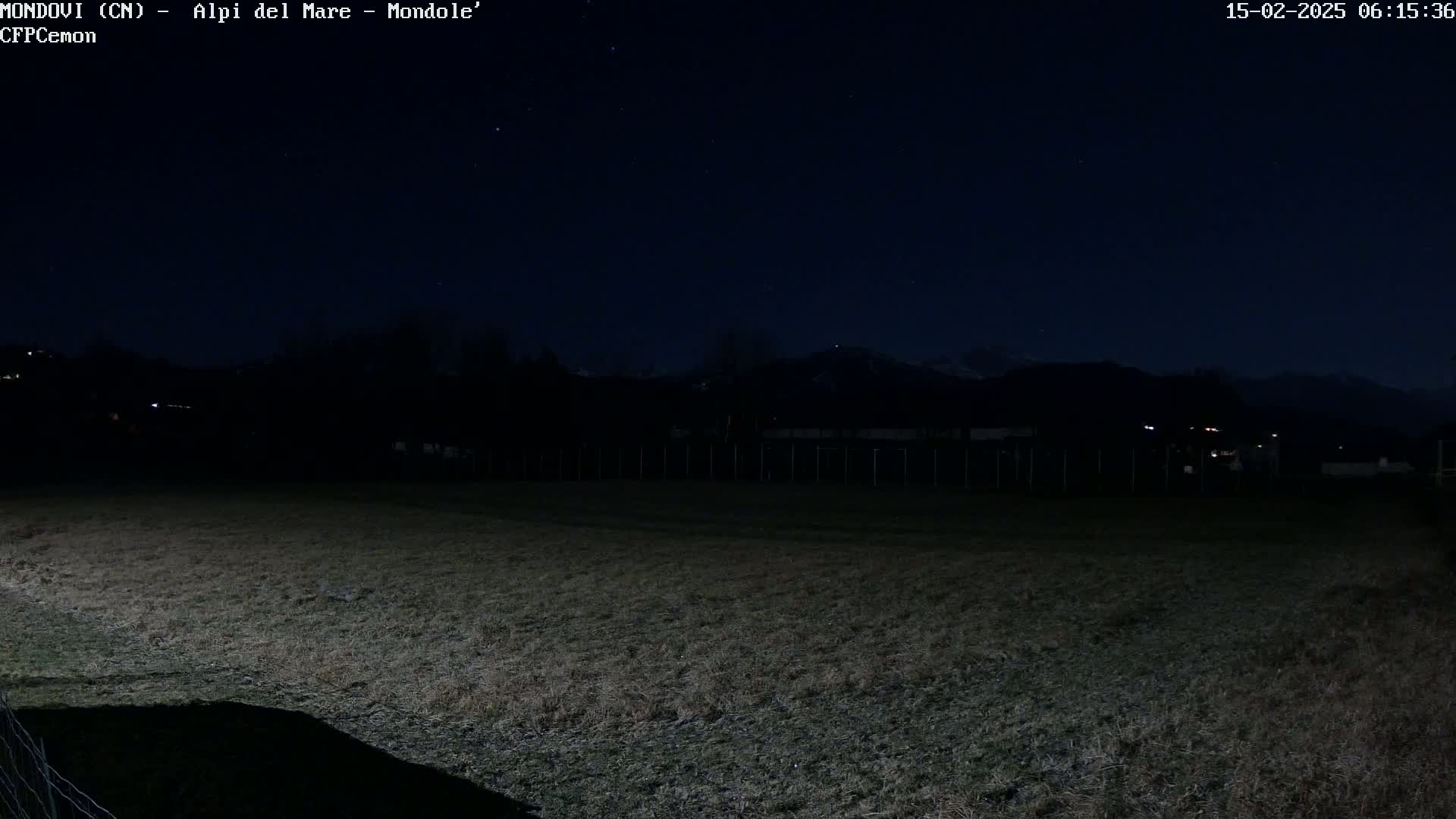 A dark, grassy field at night is visible under a mostly clear, starlit sky, with silhouetted trees and distant mountains in the background.
