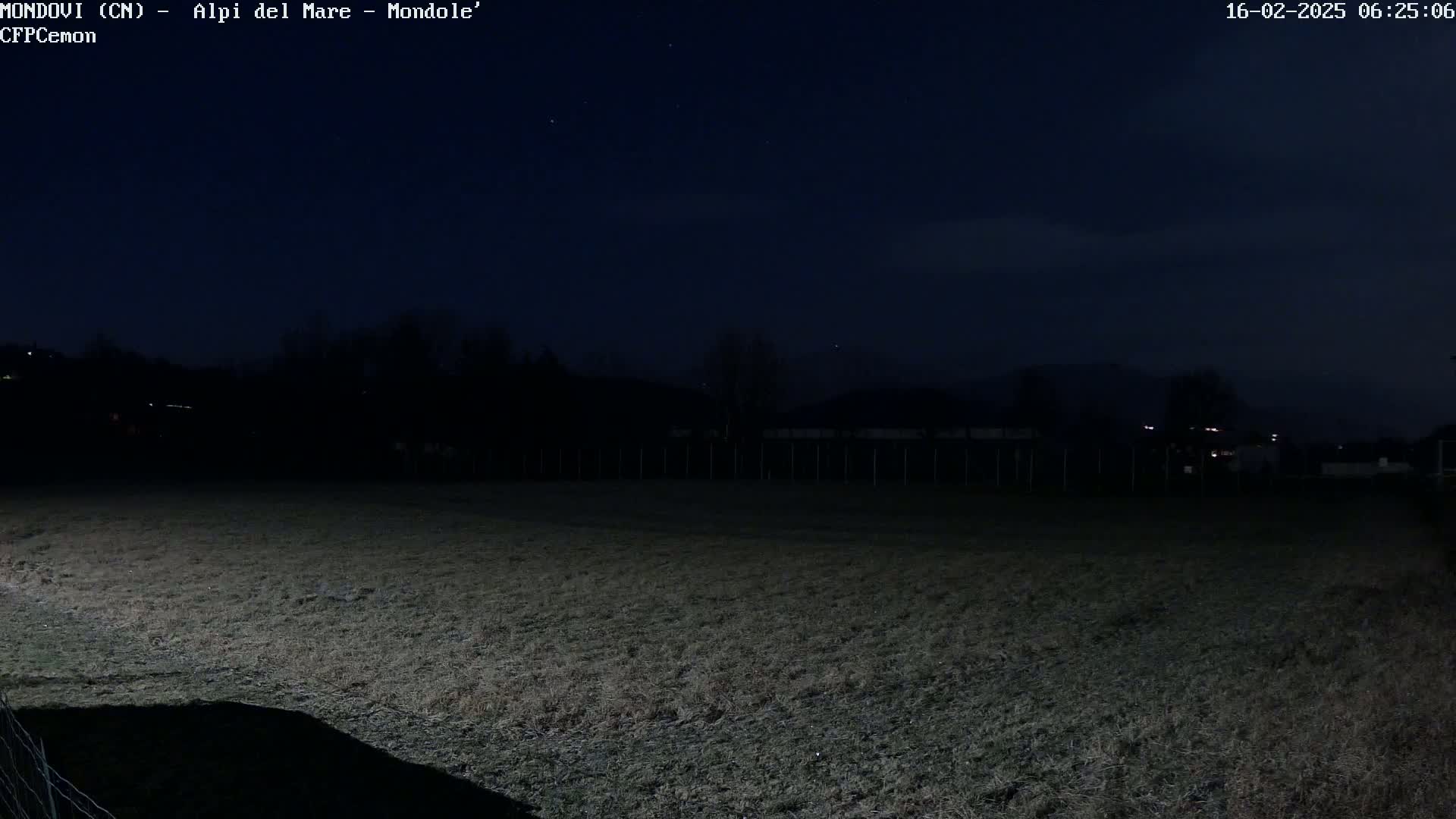 A dark, nighttime view of a field bordered by a fence and trees under a mostly clear, dark sky.
