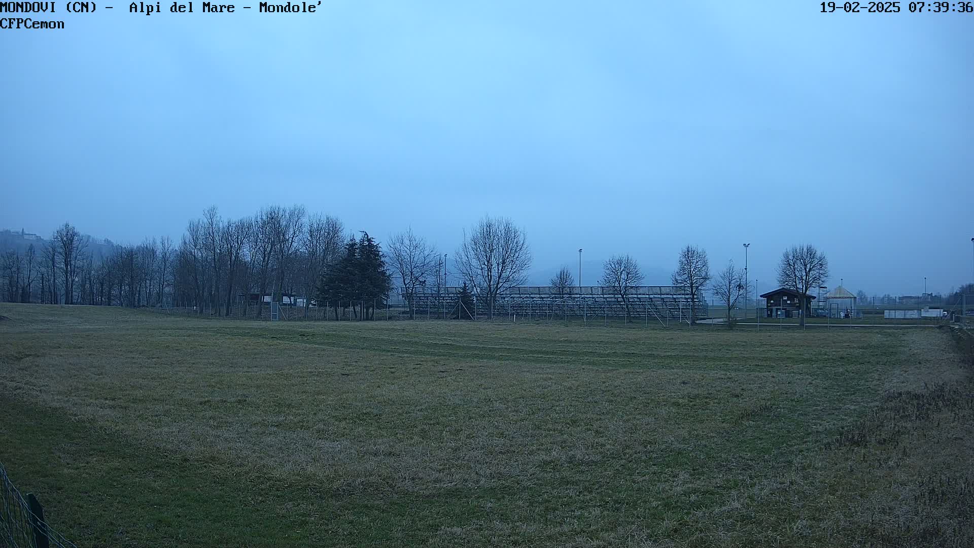 A grassy field with bare trees and empty bleachers is visible under a pale blue, overcast sky.
