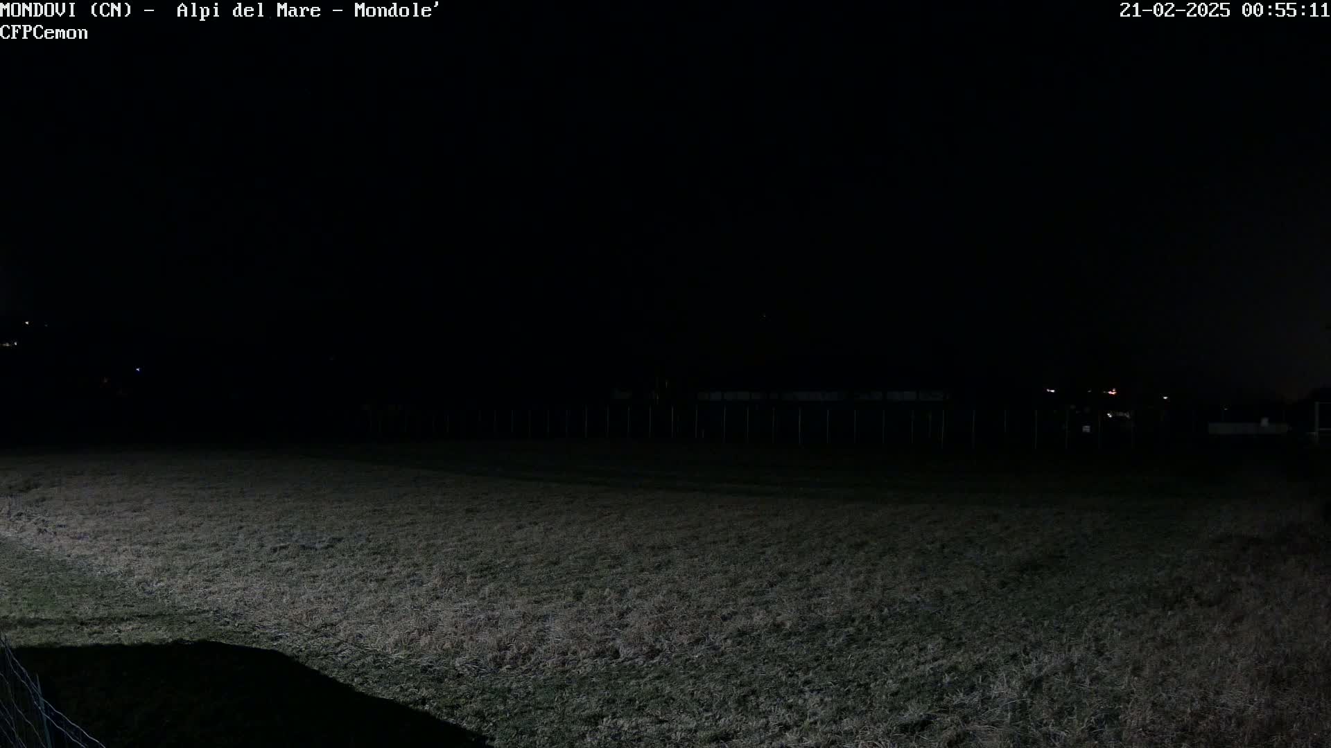A dark, nighttime view of a grassy field with a fence in the background and a few distant lights.
