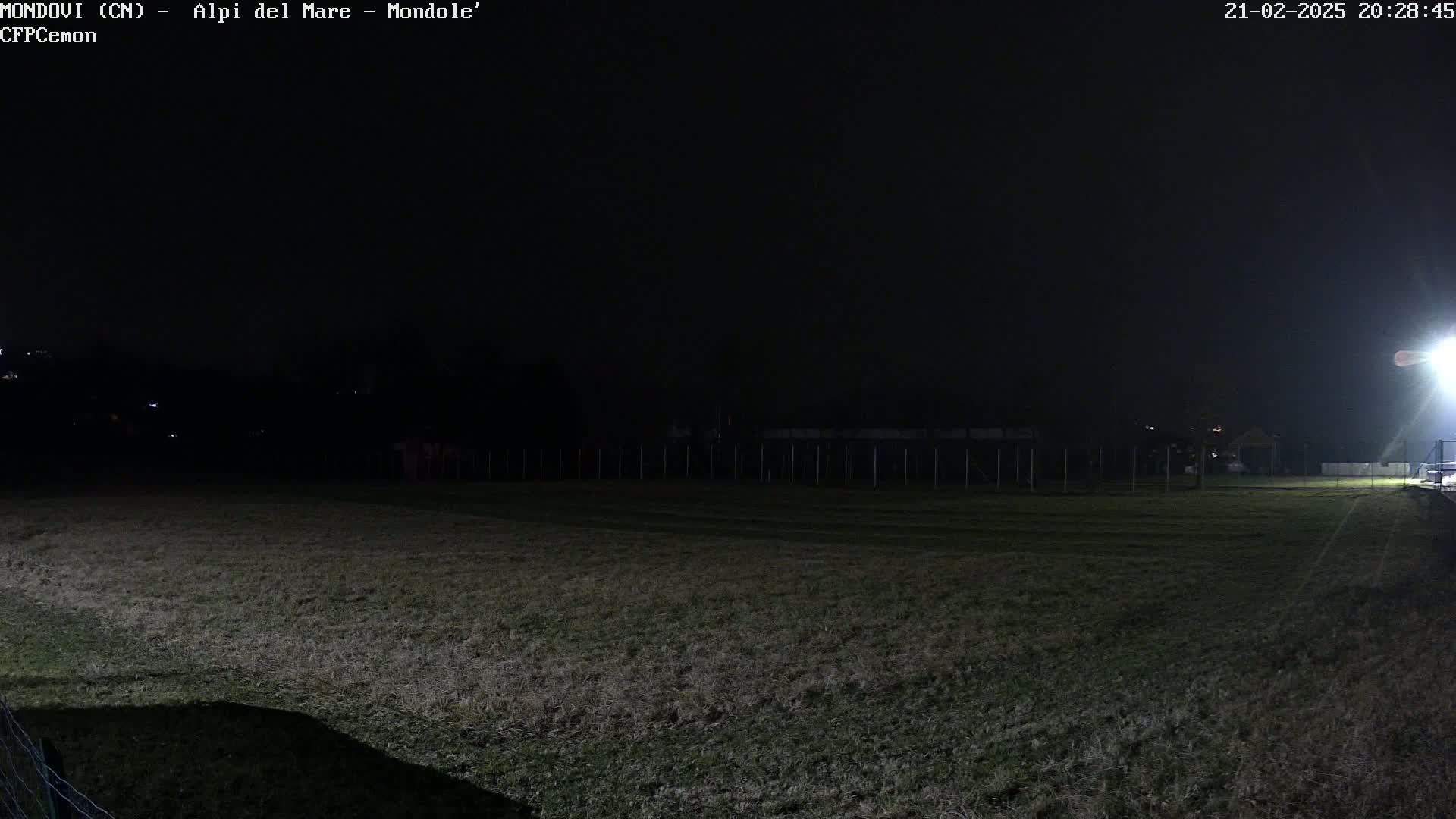 A nighttime view of a grassy field enclosed by a fence, illuminated by a single bright light source.
