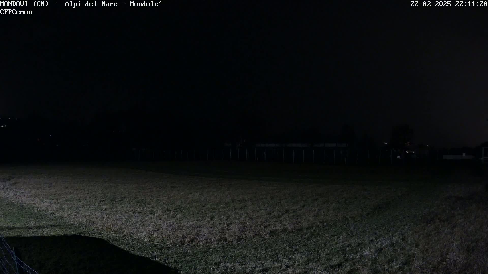 A dark, grassy field is visible under a night sky, with a dimly lit fence and distant lights in the background.