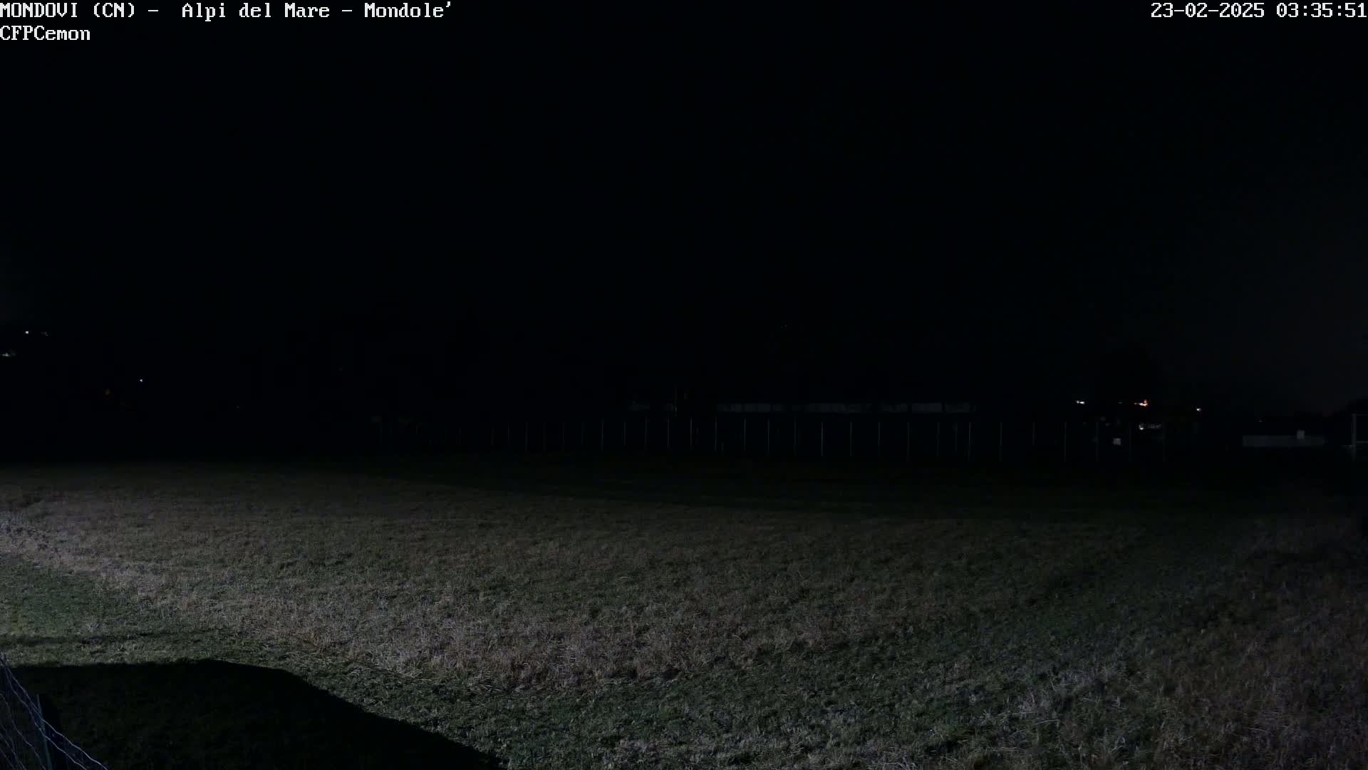 A dark, nighttime scene shows a field of grass under a clear, black sky with a few distant lights visible in the background.