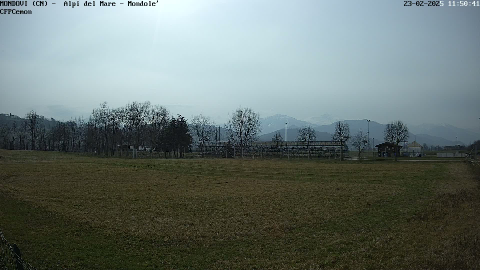 A mostly barren, grassy field stretches to a line of leafless trees and beyond to snow-capped mountains under a hazy sky.