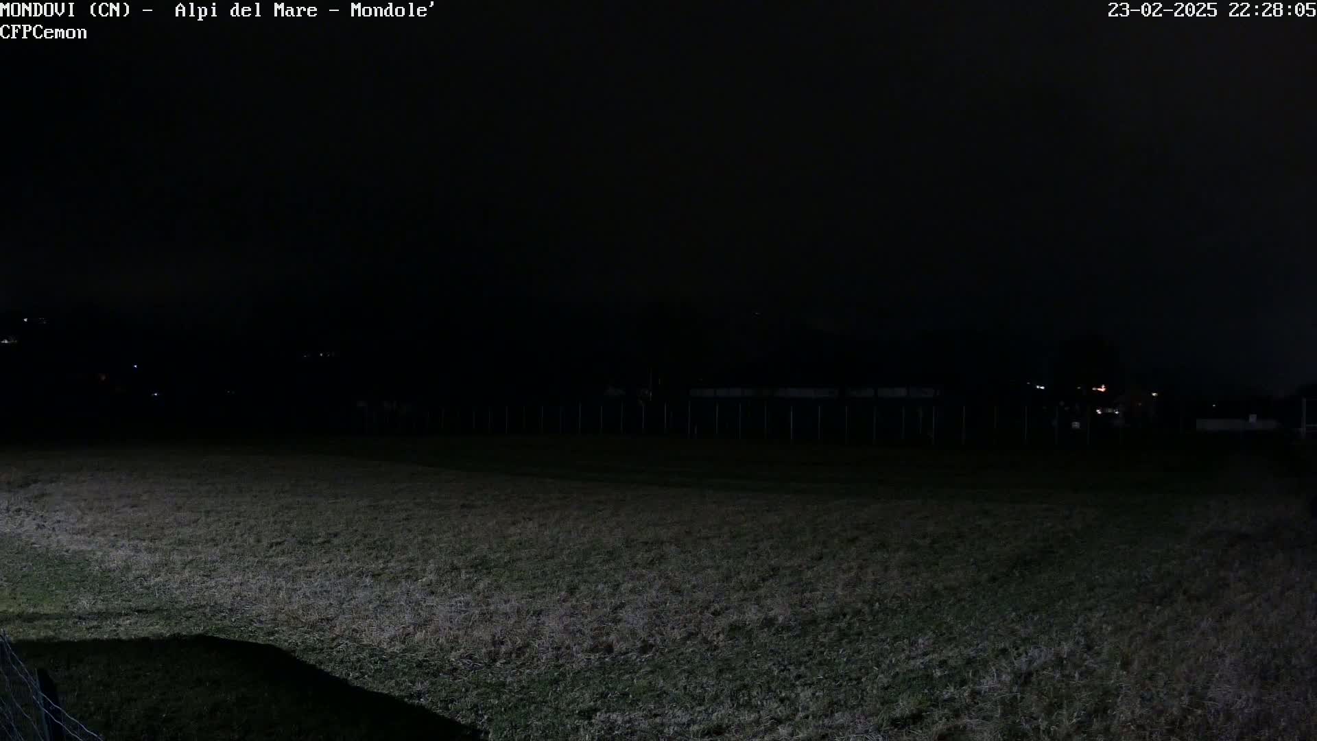 A dark, nighttime view of a grassy field bordered by a fence, with a few faint lights visible in the distance under a mostly clear sky.