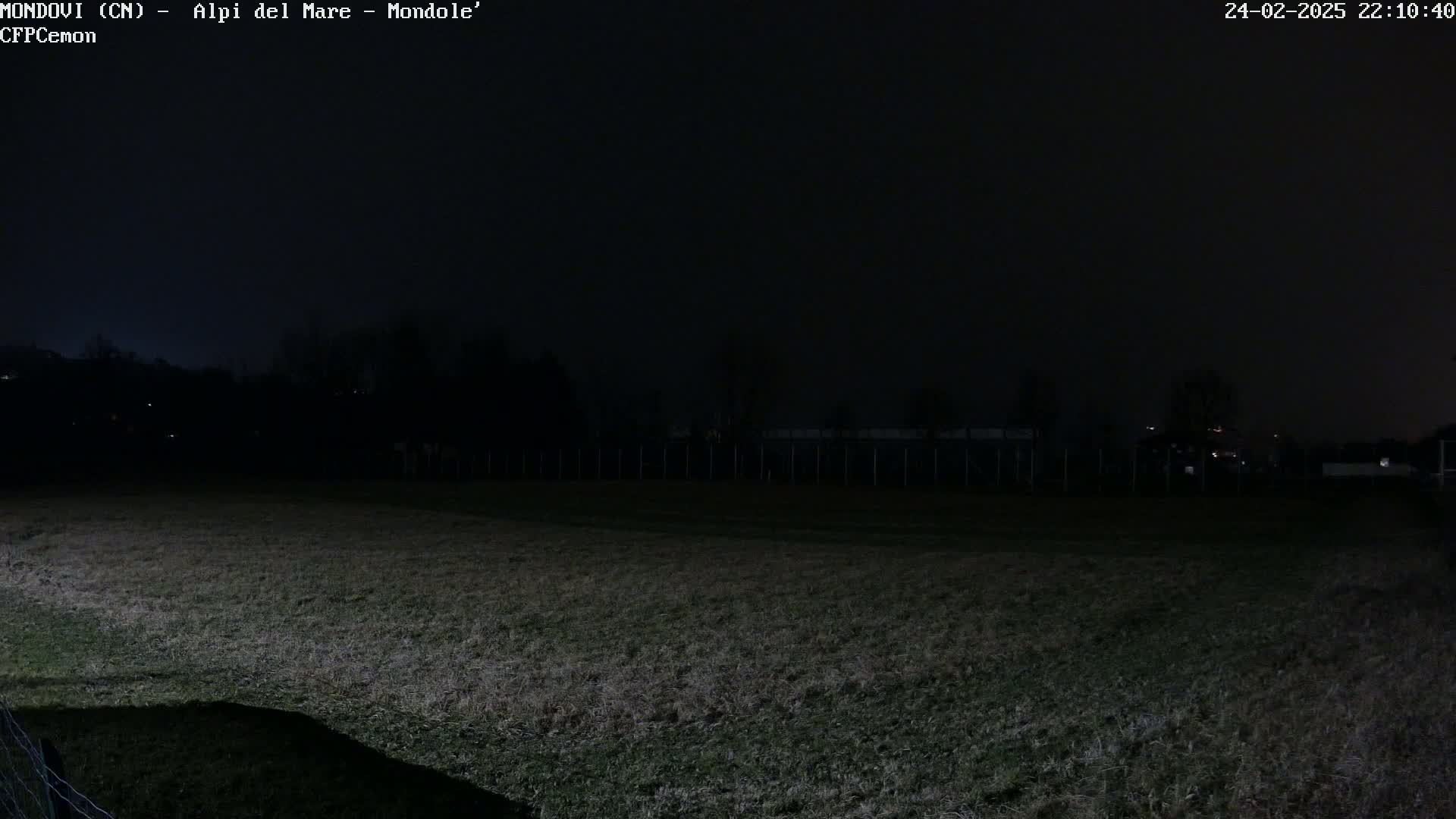 A dark, nighttime view shows a grassy field extending to a distant fence line under a mostly clear, dark sky.