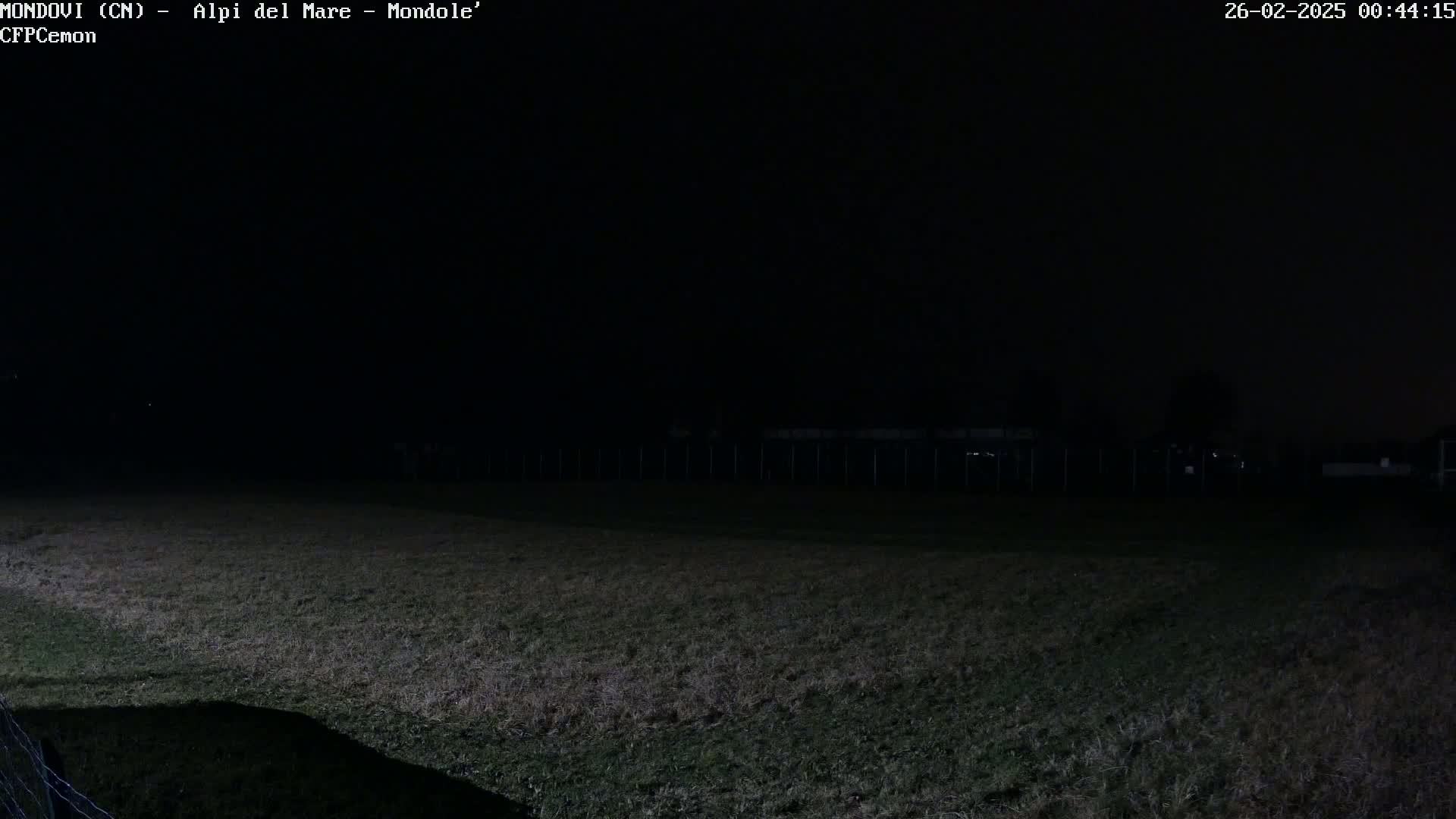 A dark, nighttime view shows a grassy field extending to a dimly lit fence in the background under a clear, dark sky.
