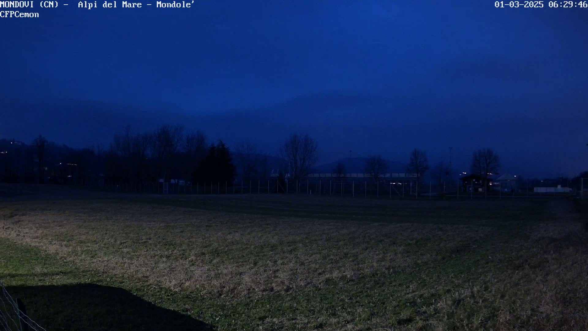 A dark blue twilight sky hangs over a field enclosed by a fence, behind which are silhouetted trees and buildings.