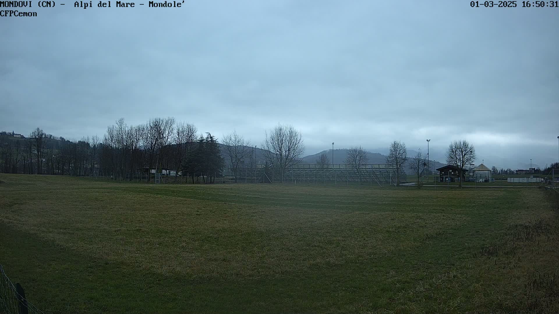A large, grassy field stretches toward bare trees and distant hills under a cloudy, overcast sky.