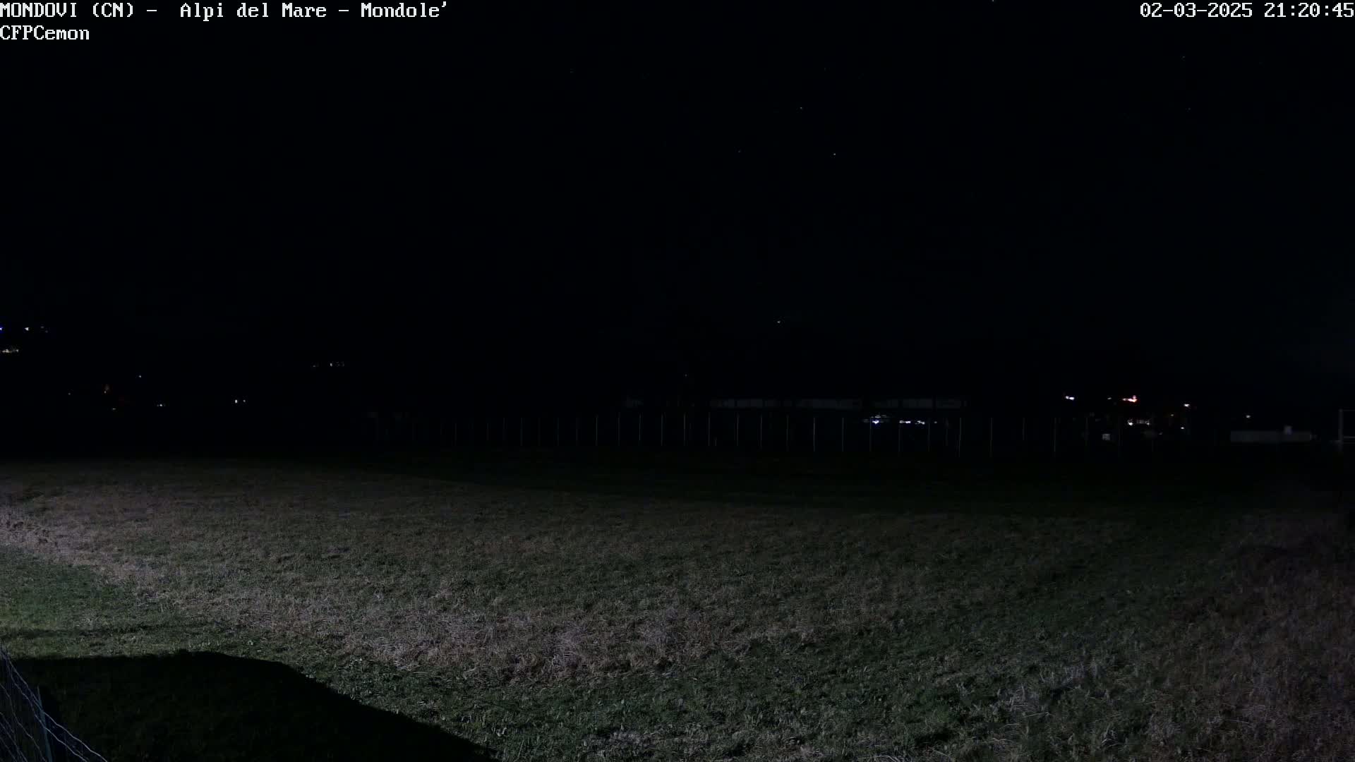 A dark, grassy field is visible under a clear night sky with a few faint stars, and a distant fence and a few lights are barely perceptible in the background.