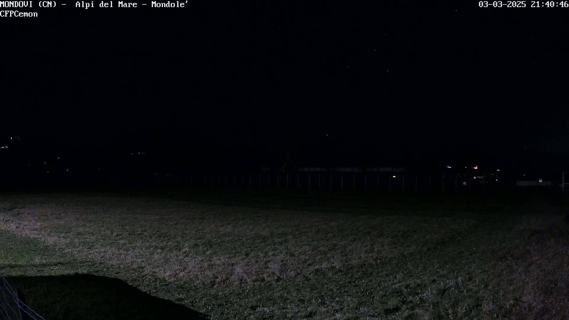 A dark, grassy field is visible under a clear night sky with a few stars, and distant lights are faintly seen in the background.
