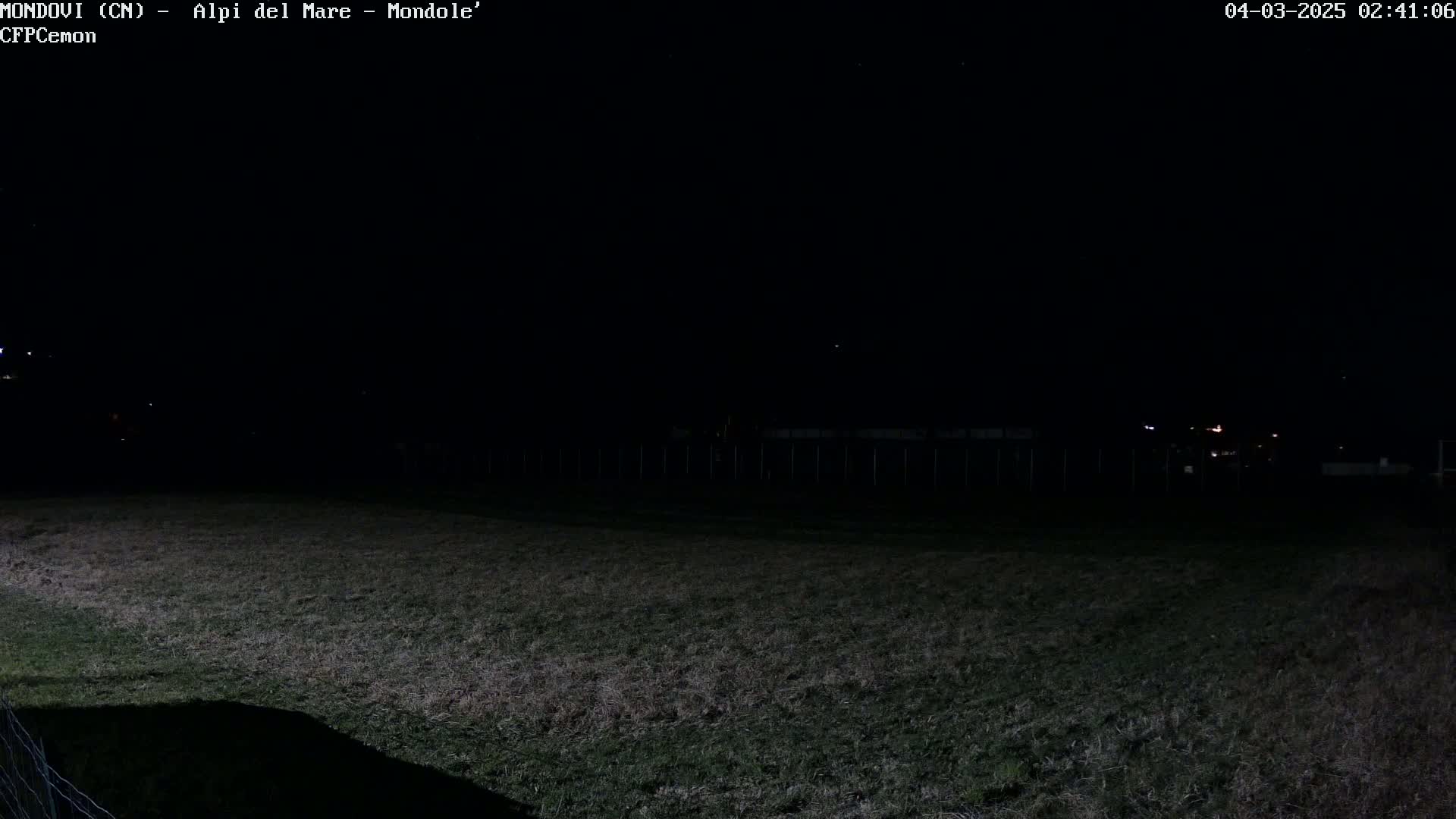 A dark, nighttime view shows a field of dry grass extending to a distant fence under a clear, starlit sky.