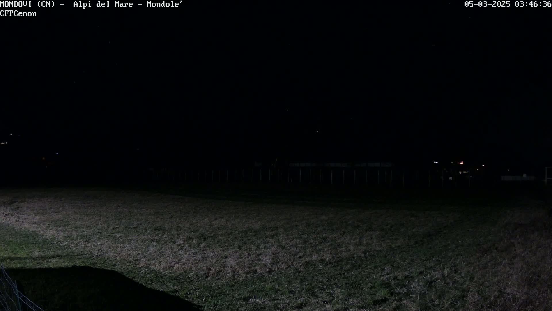 A dark, nighttime view of a grassy field with a fence in the background under a clear, starlit sky.