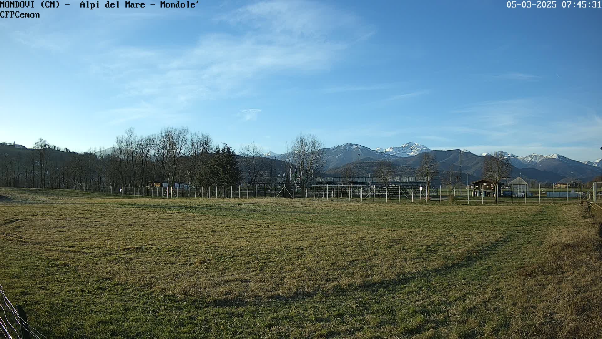 A grassy field bordered by a fence, with leafless trees and snow-capped mountains in the background under a clear blue sky.