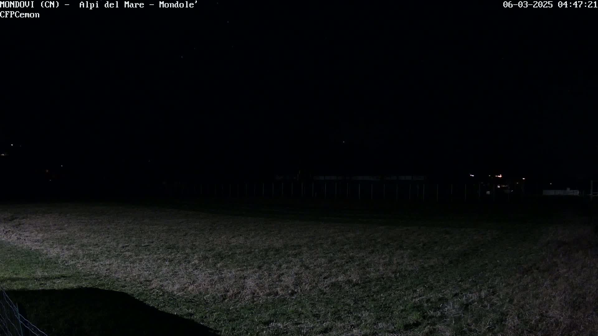 A dark, nighttime scene shows a grassy field stretching to a distant, dimly lit fence line under a clear, starlit sky.