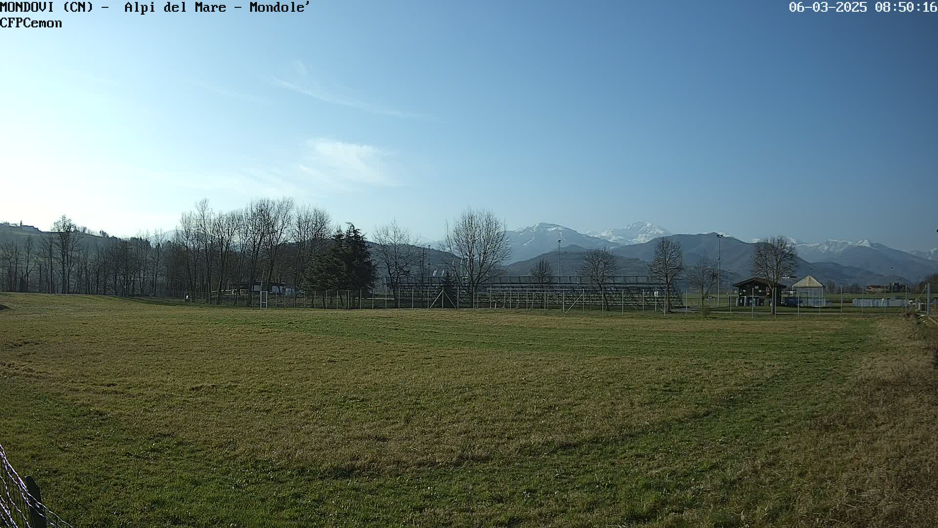 A grassy field stretches toward snow-capped mountains under a clear blue sky.