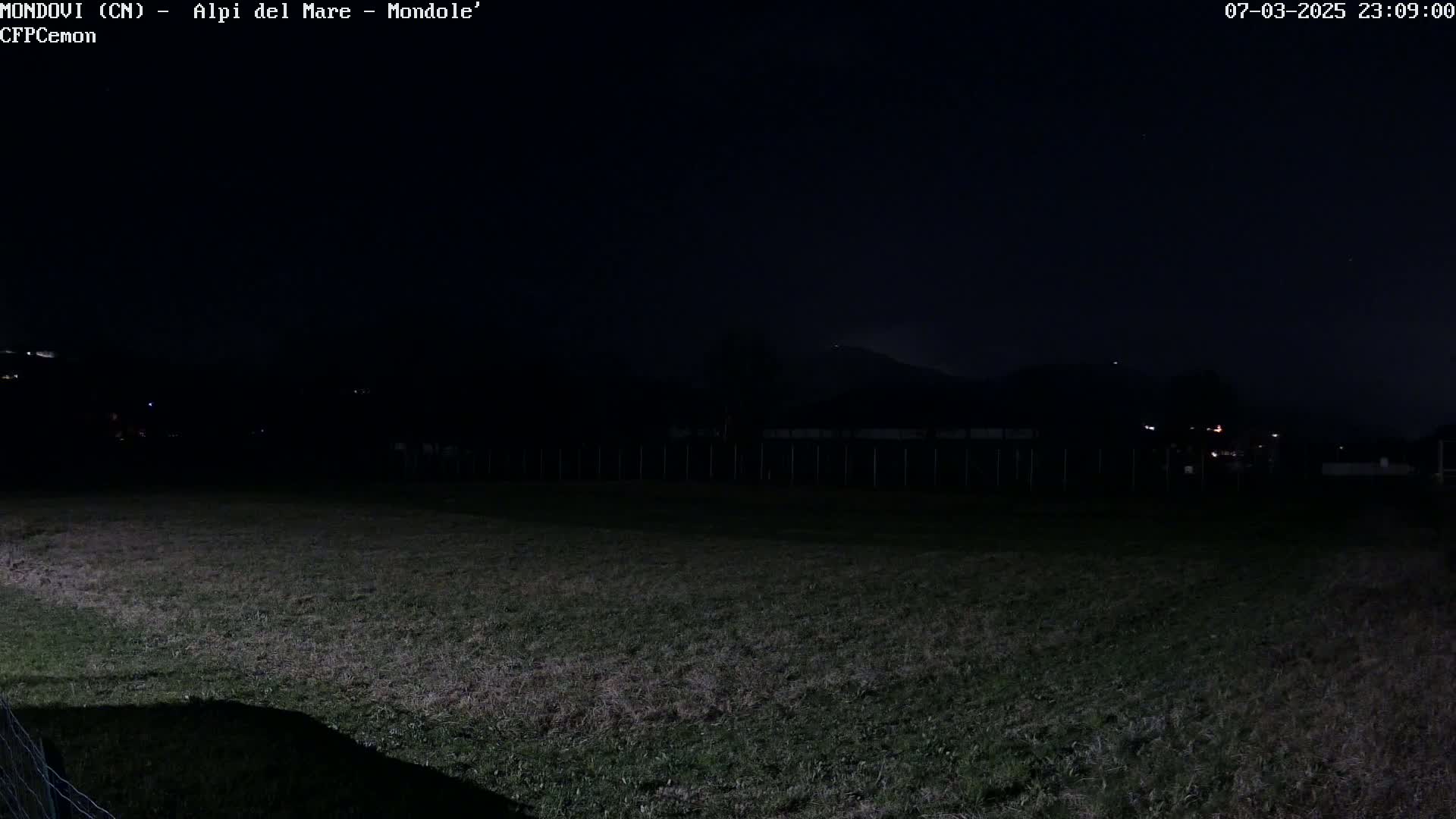 A dark, nighttime view shows a grassy field with a distant, dimly lit landscape and a star-filled sky.