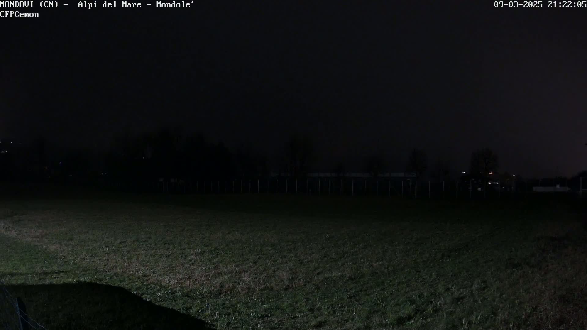 A dark, nighttime view of a grassy field, with a fence and distant lights faintly visible in the background.