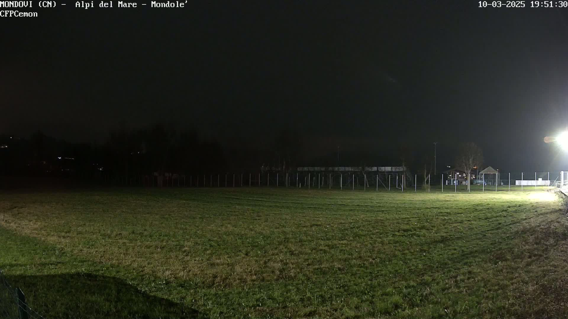 A dark, grassy field is illuminated by a single light source at night, with trees and a structure visible in the background under a mostly clear sky.