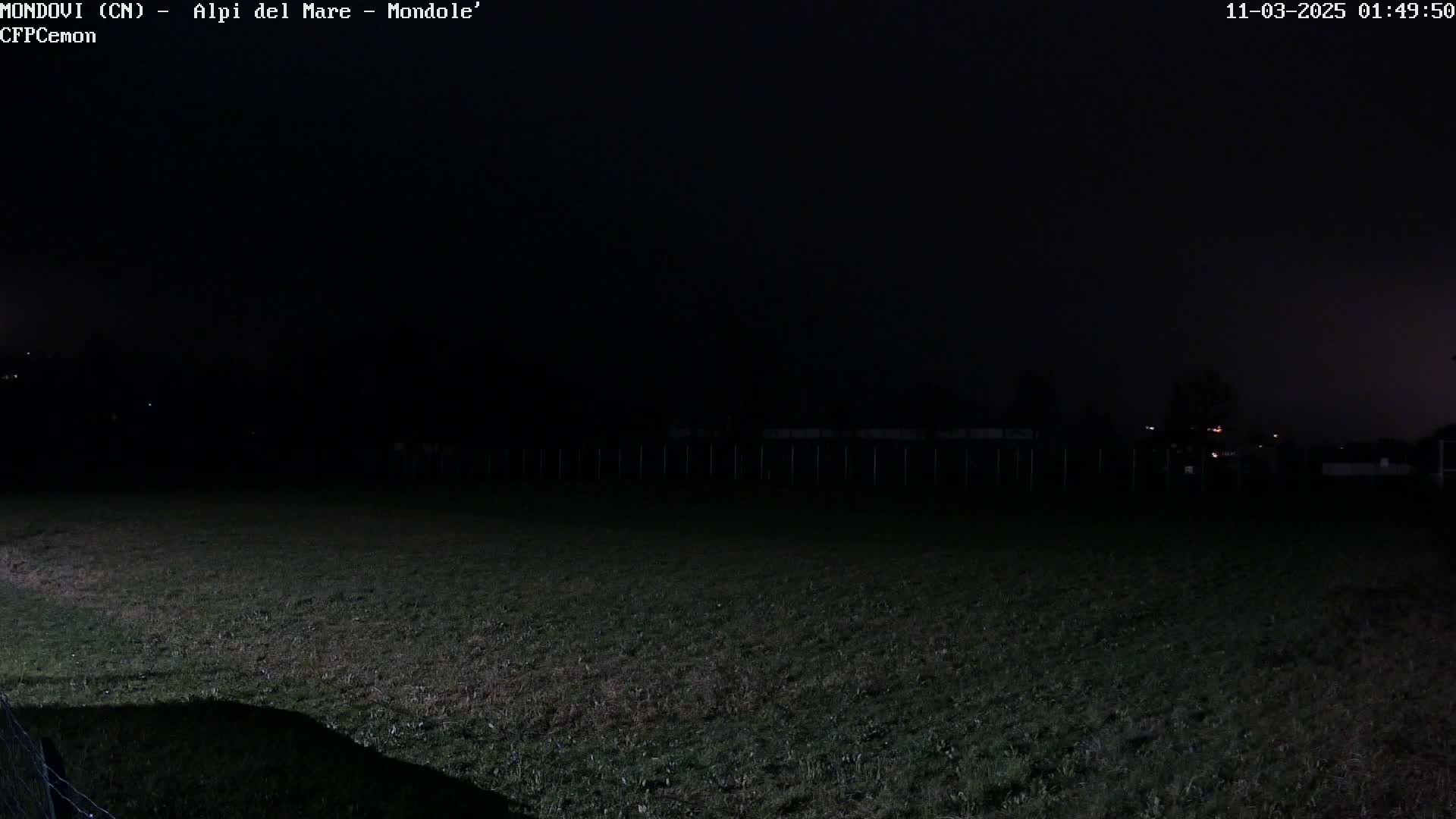 A dark, nighttime view of a grassy field with a fence in the background under a mostly clear sky.