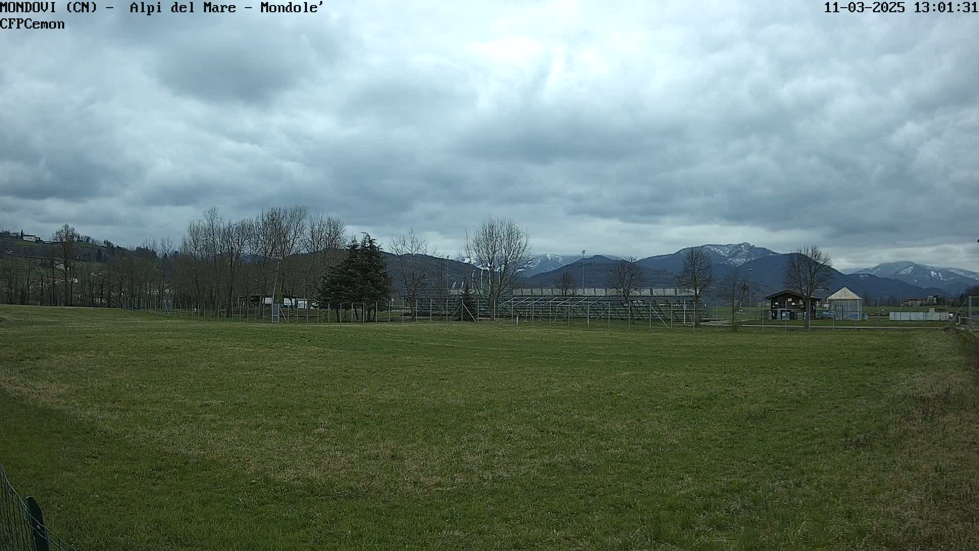 A grassy field stretches out before a mostly cloudy sky, with snow-capped mountains in the distance and bleachers behind a fence.